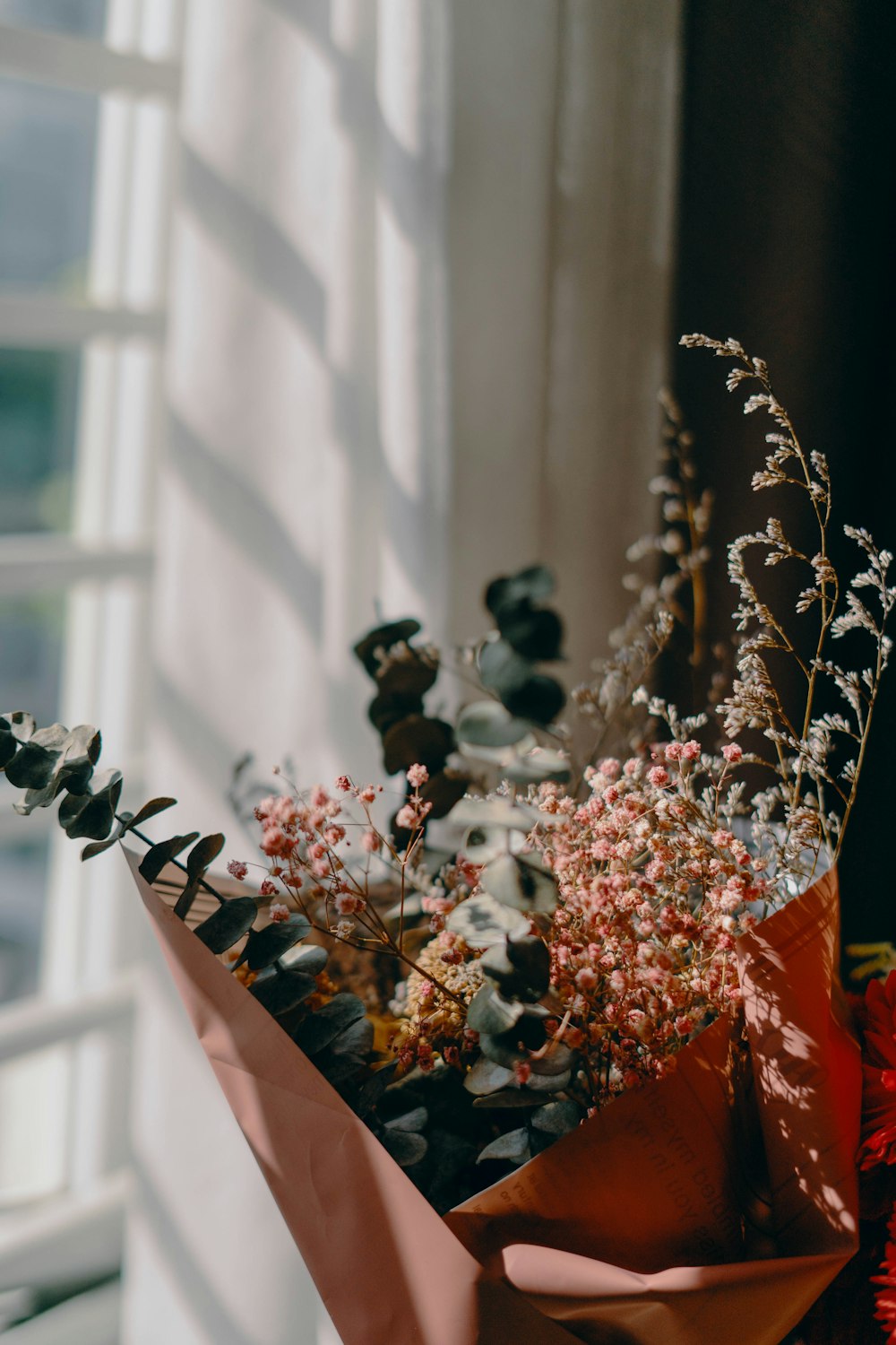 person holding red and white flowers