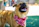 A cheerful dog wearing a colorful bandana in a park.
