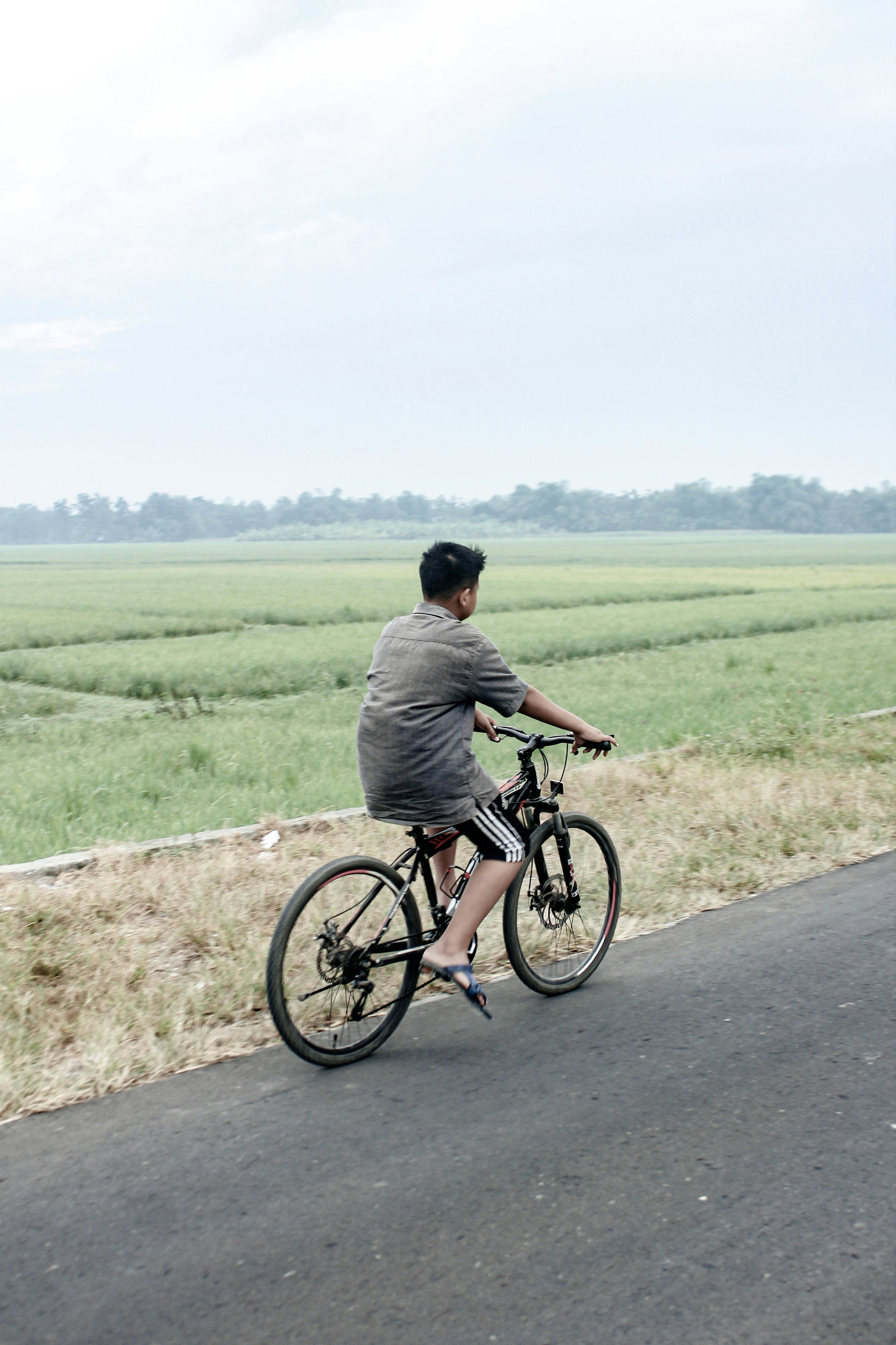 man in gray shirt riding bicycle on road during daytime