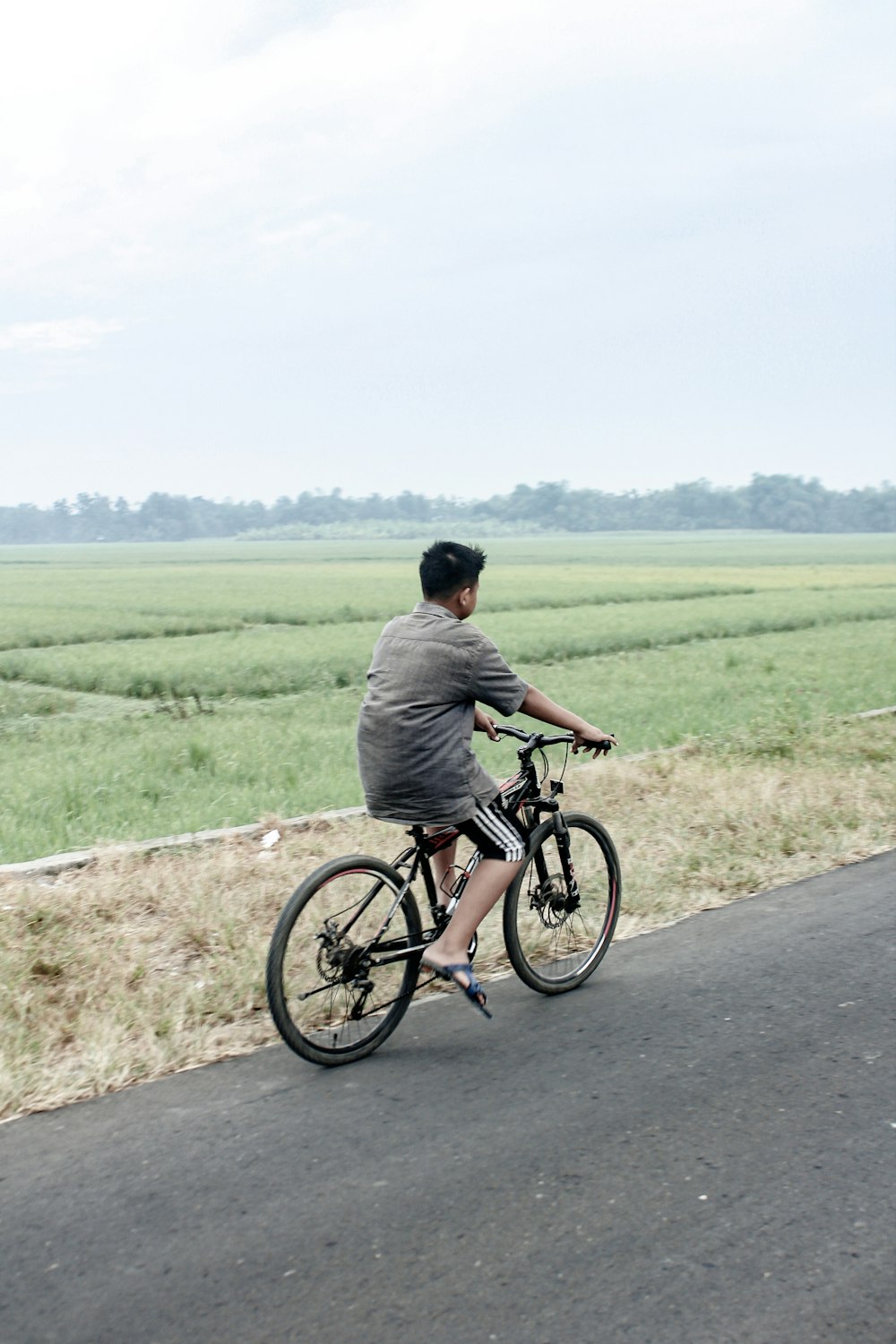 man in gray shirt riding bicycle on road during daytime