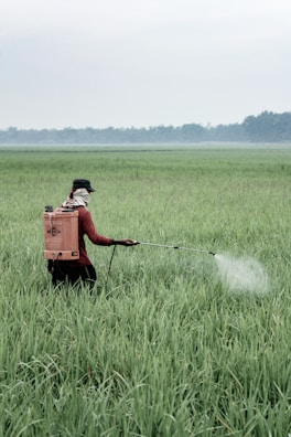 A person wearing a hat and scarf is using a backpack sprayer to apply a substance in a large, lush green field. The field stretches towards the horizon under a cloudy sky, suggesting agricultural activity.