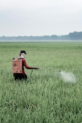Farmer applying bioguard organic insecticide in a sunlit vegetable field.
