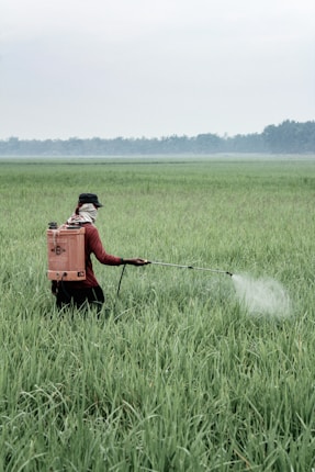 A person wearing a hat and scarf is using a backpack sprayer to apply a substance in a large, lush green field. The field stretches towards the horizon under a cloudy sky, suggesting agricultural activity.