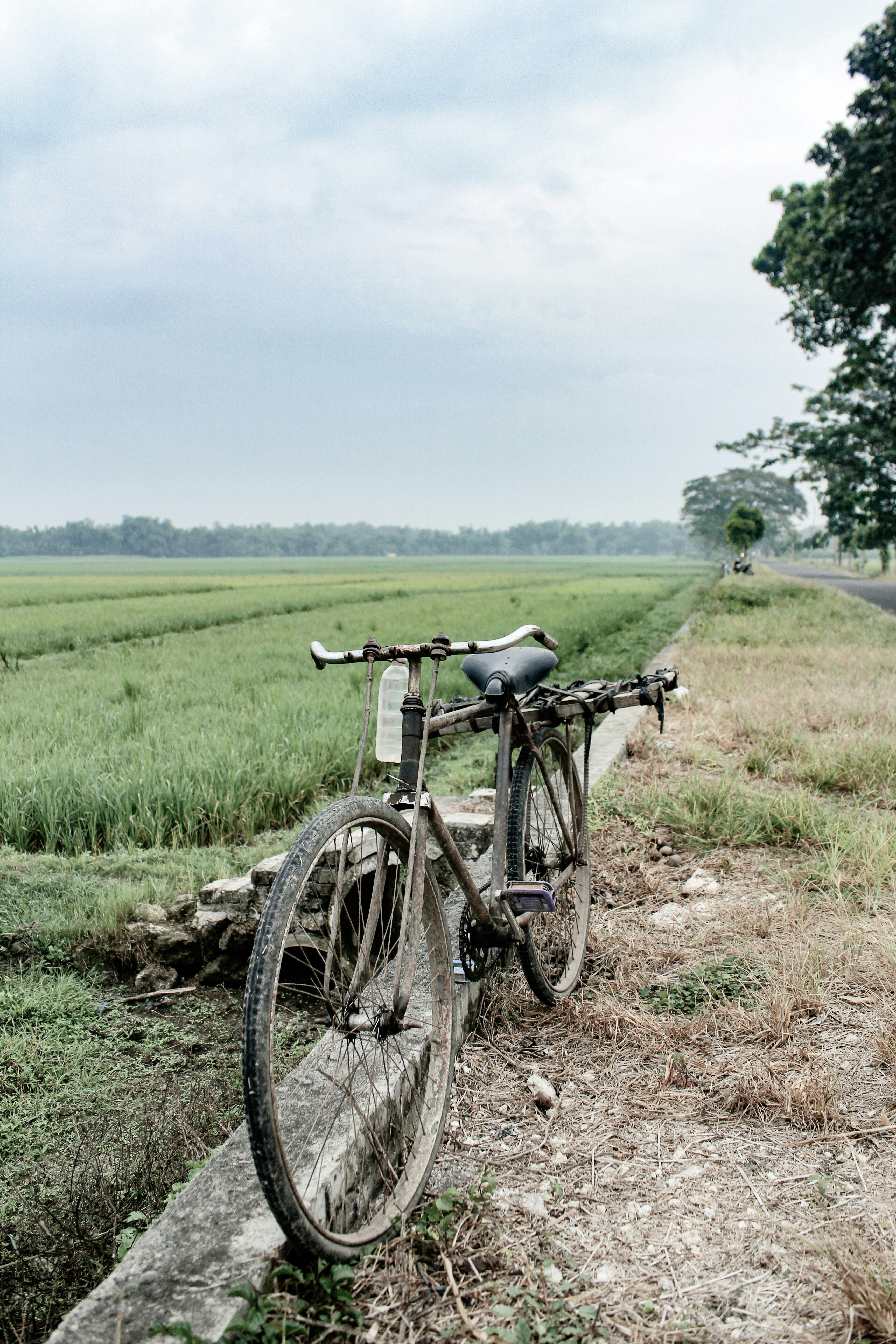 black bicycle on green grass field during daytime