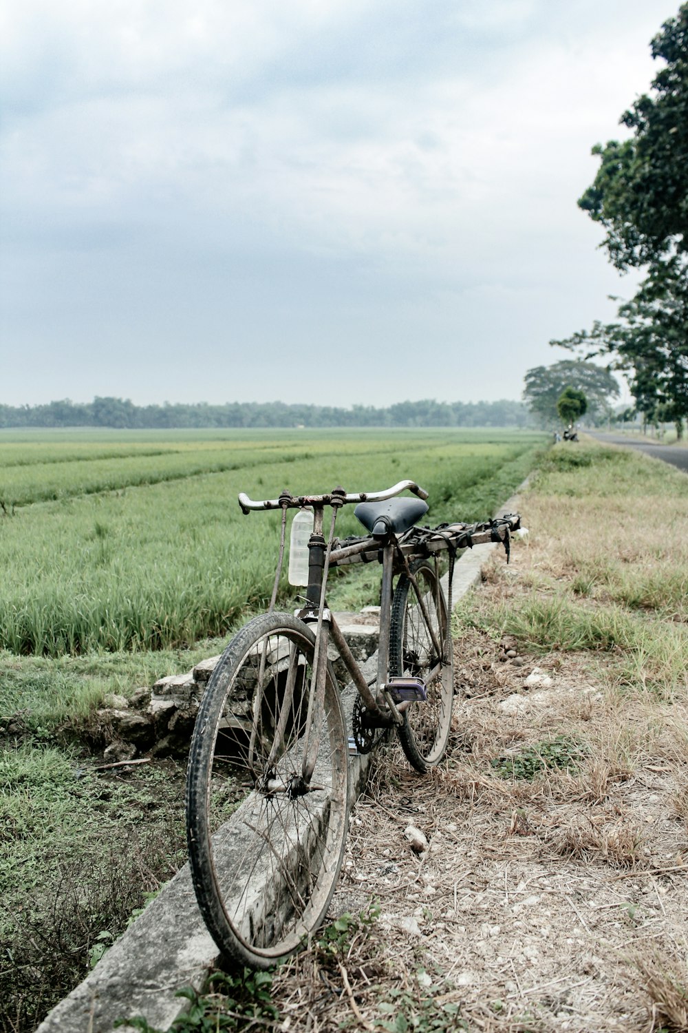 black bicycle on green grass field during daytime