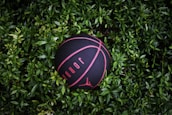 A black basketball with pink stripes and text lies on a bed of dense, vibrant green leaves. The basketball is branded with the word 'Jordan', and its dark surface contrasts sharply with the bright green foliage surrounding it.