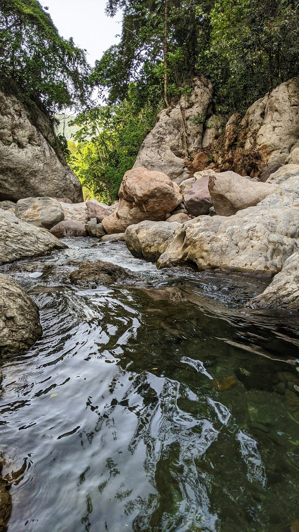 roches brunes sur la rivière pendant la journée
