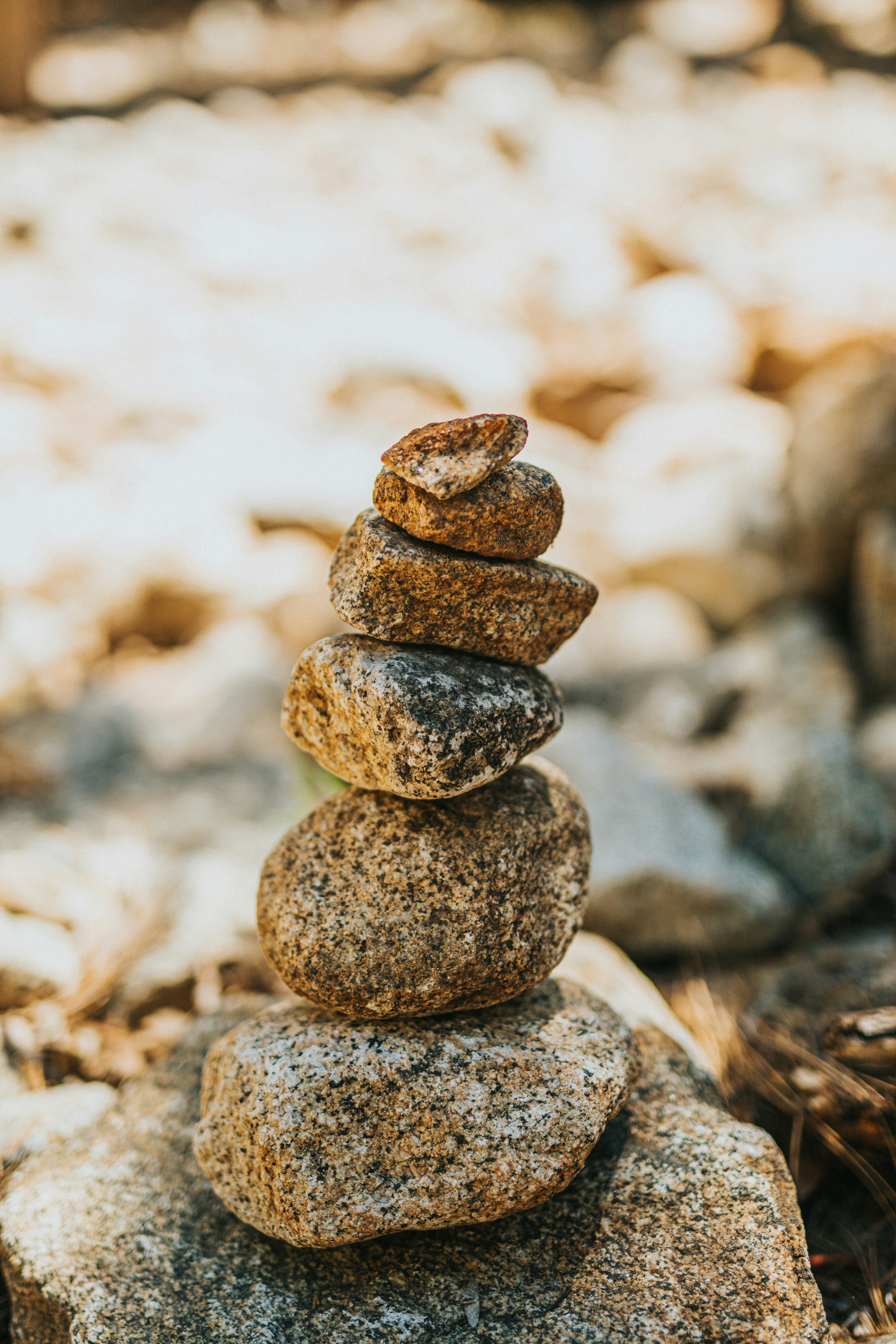 Photo by nate_dumlao