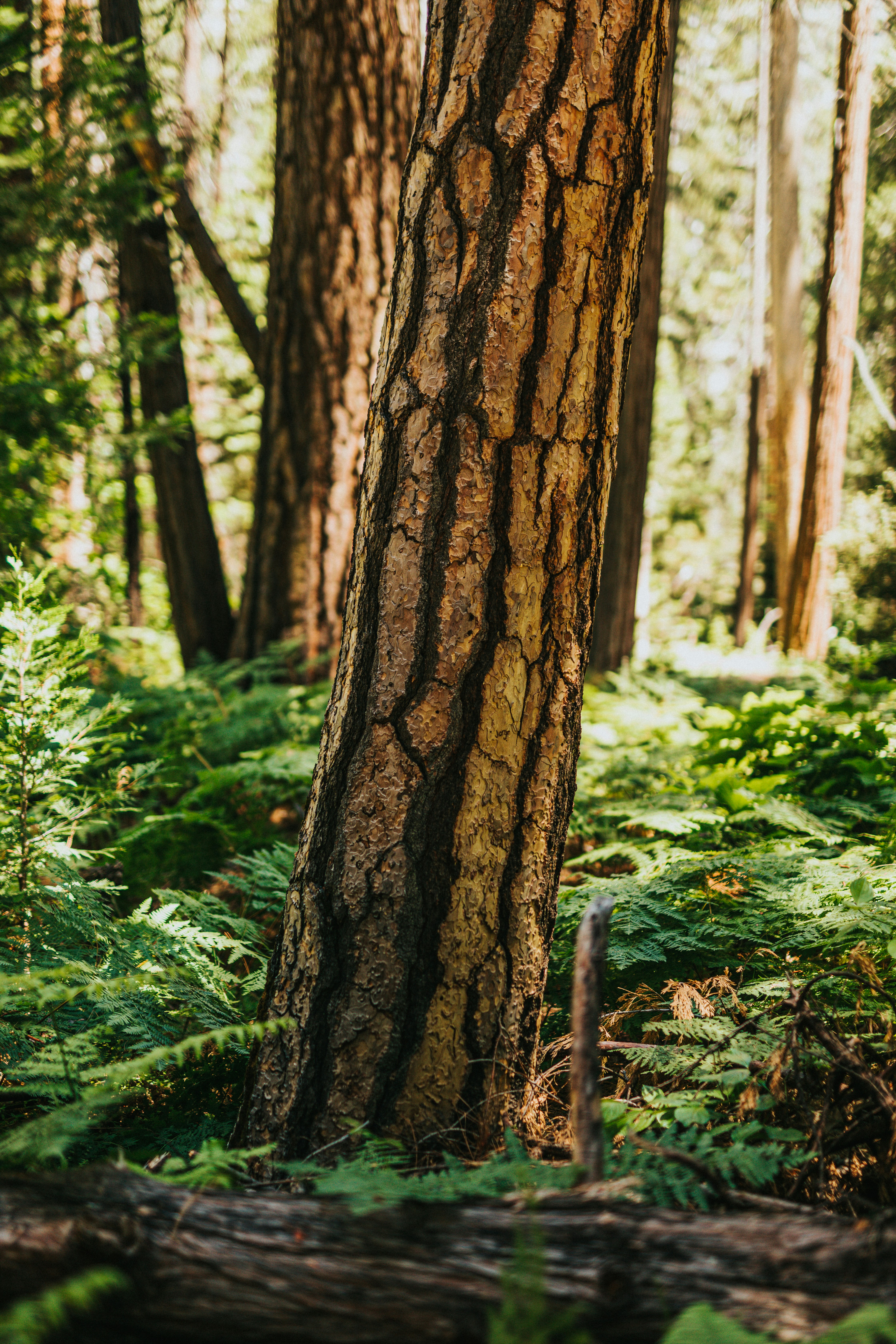 Photo by nate_dumlao