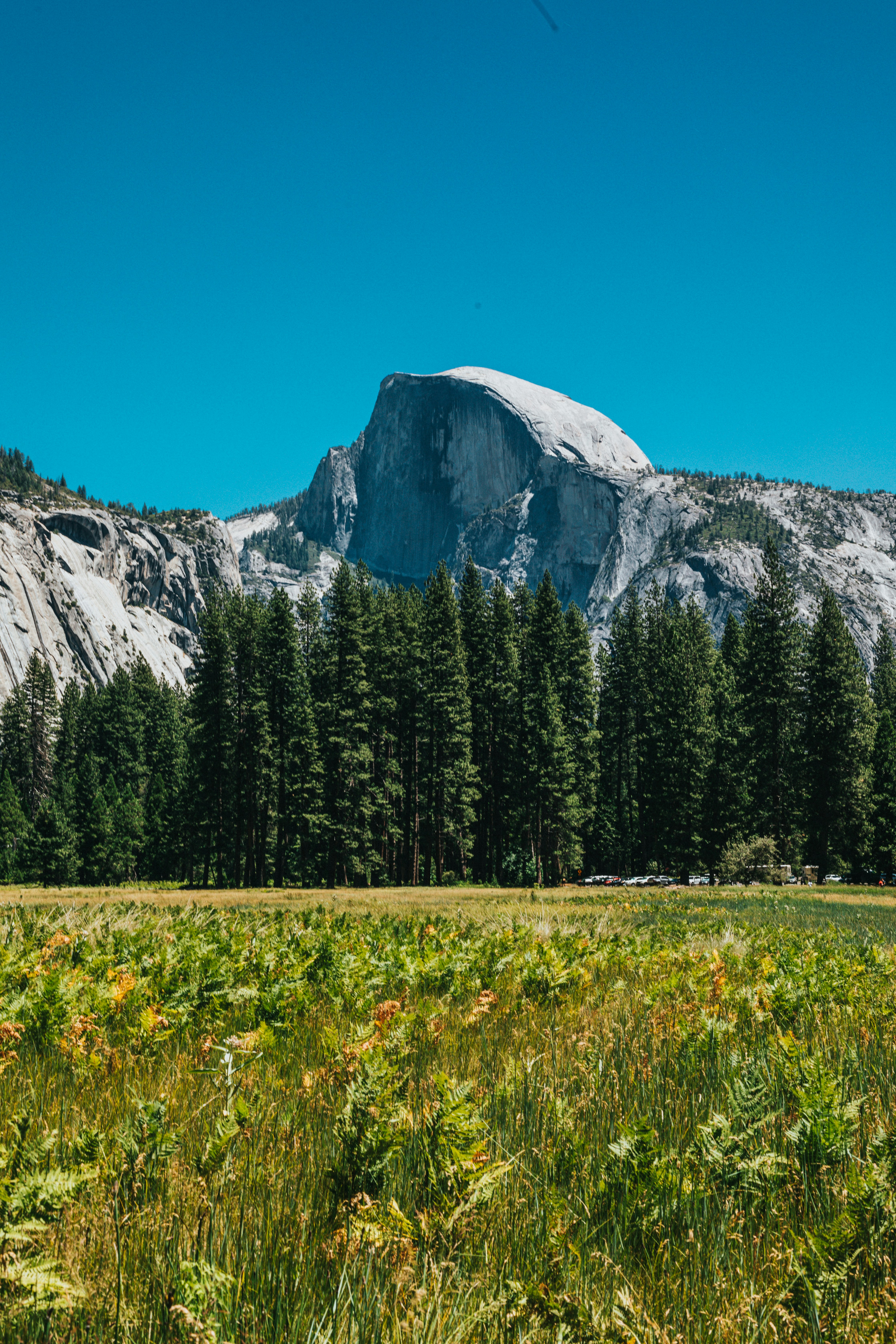 Photo by nate_dumlao