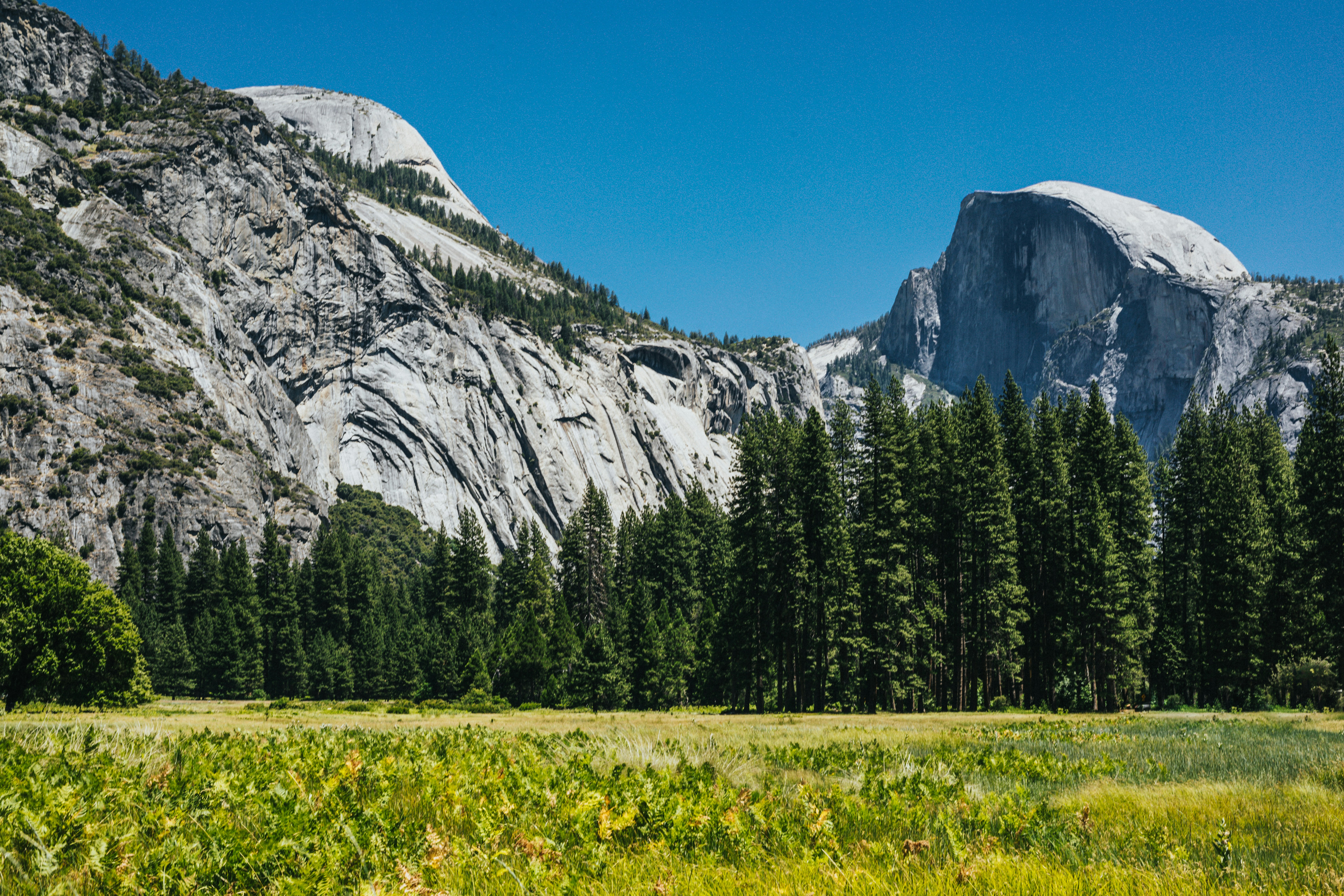 Photo by nate_dumlao