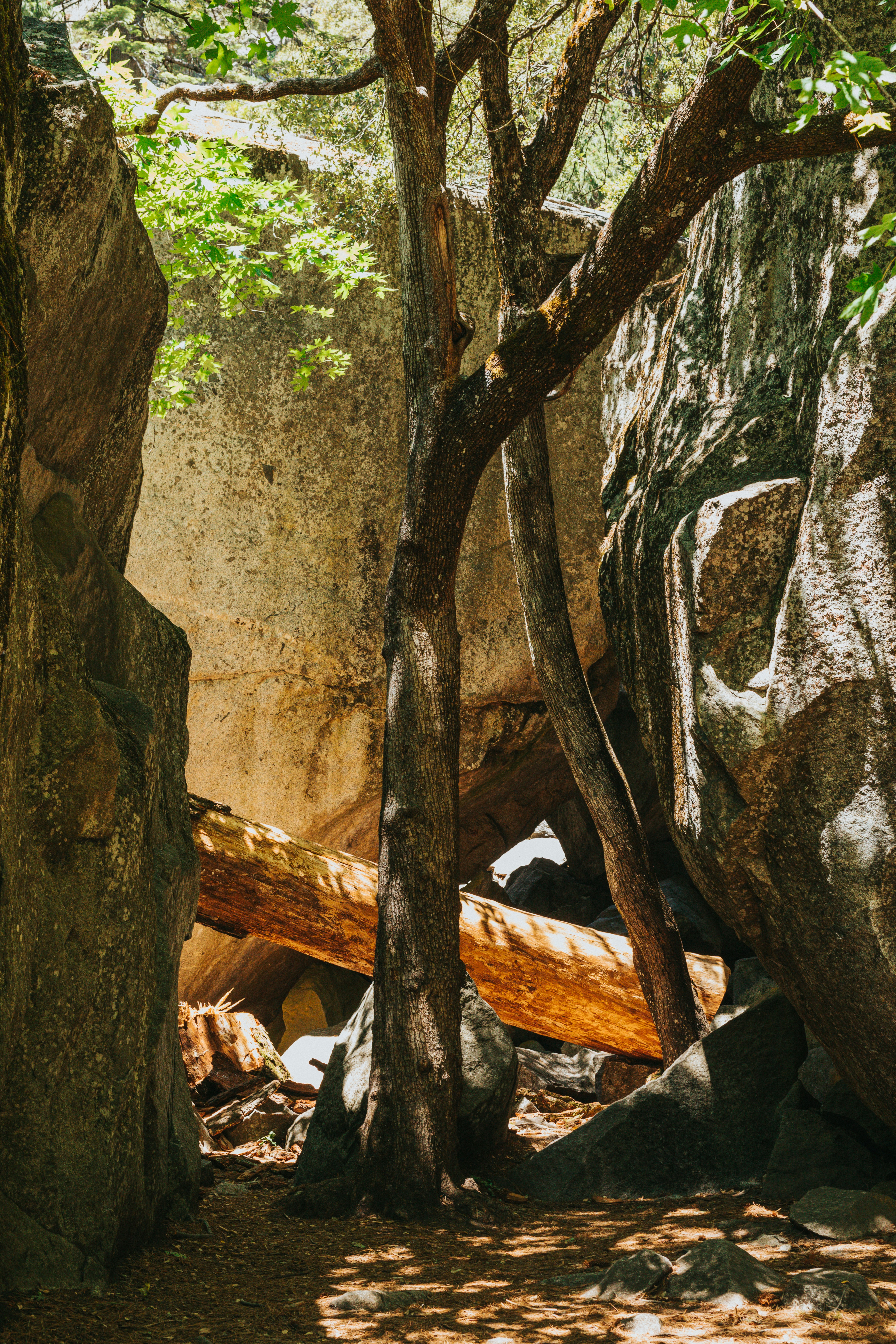 Photo by nate_dumlao