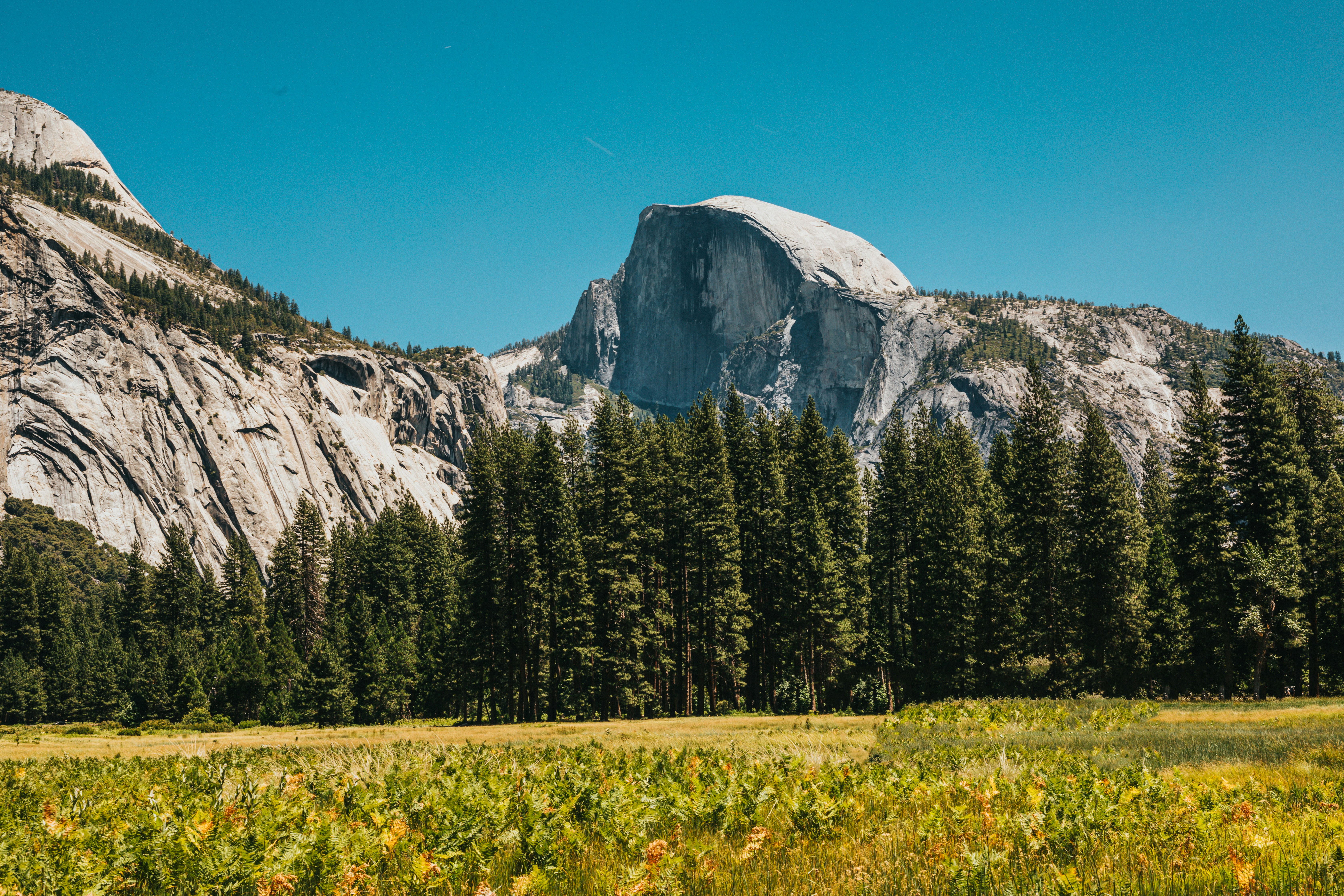 Photo by nate_dumlao