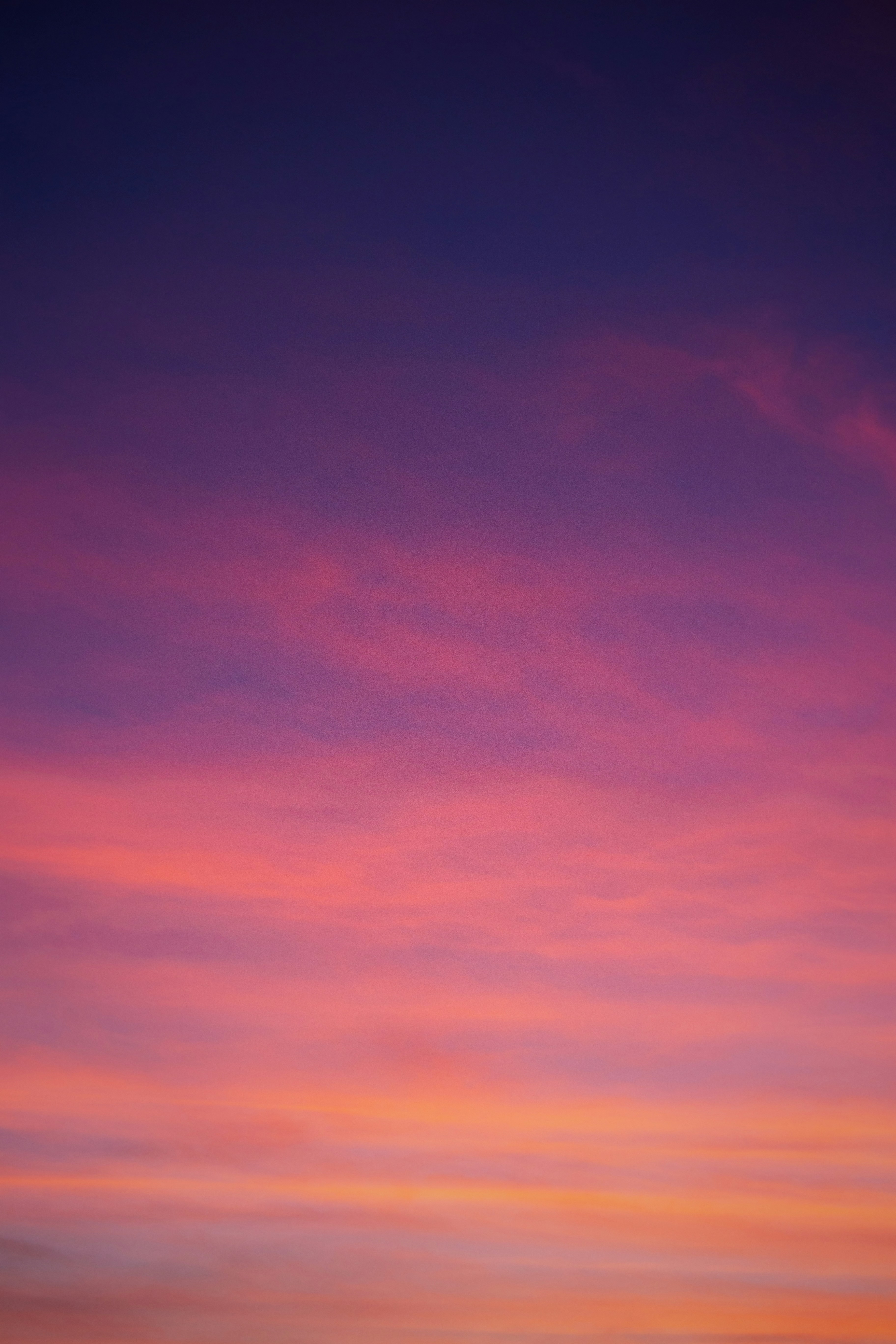 Photo by vinomamba24