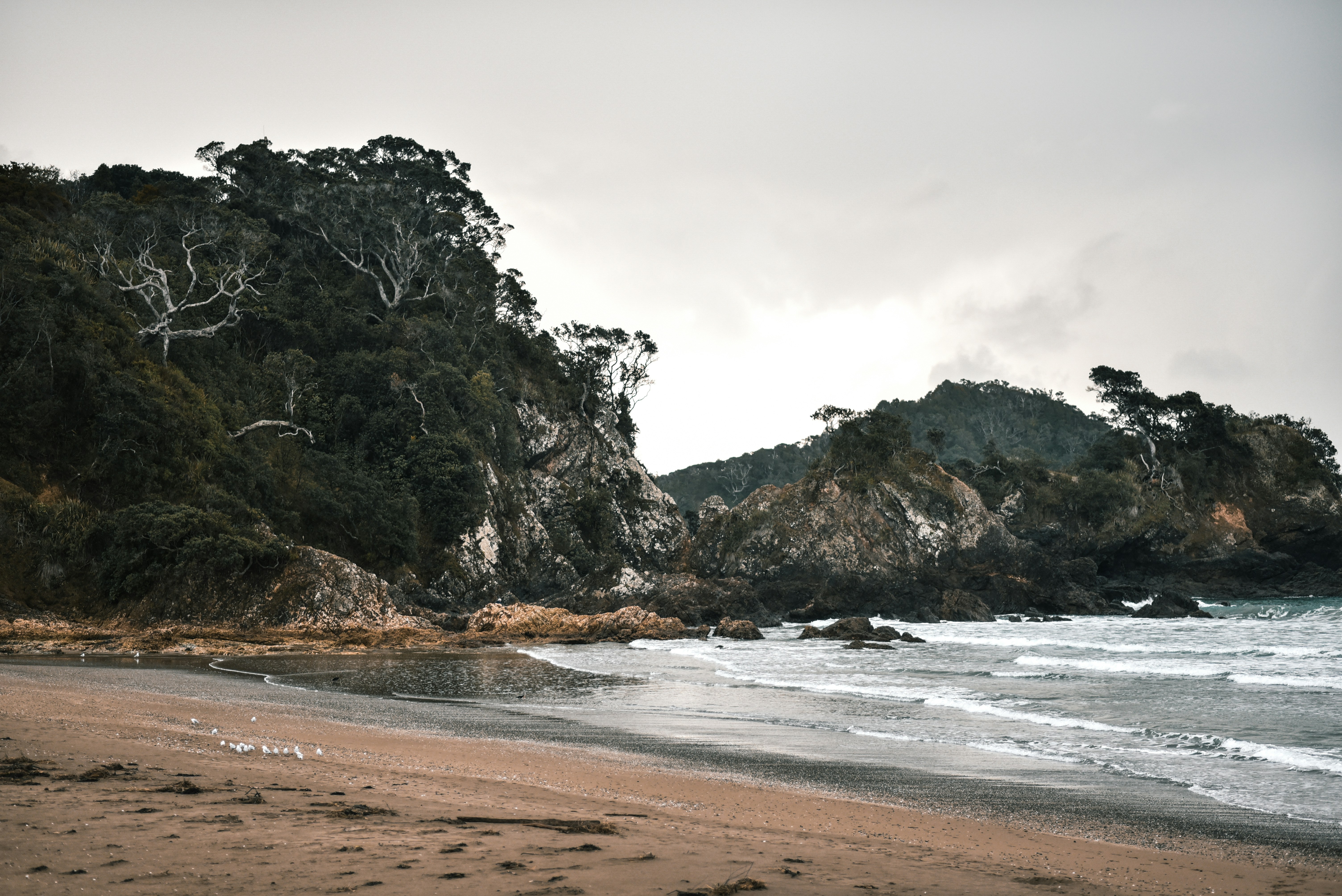 Photo by zane404