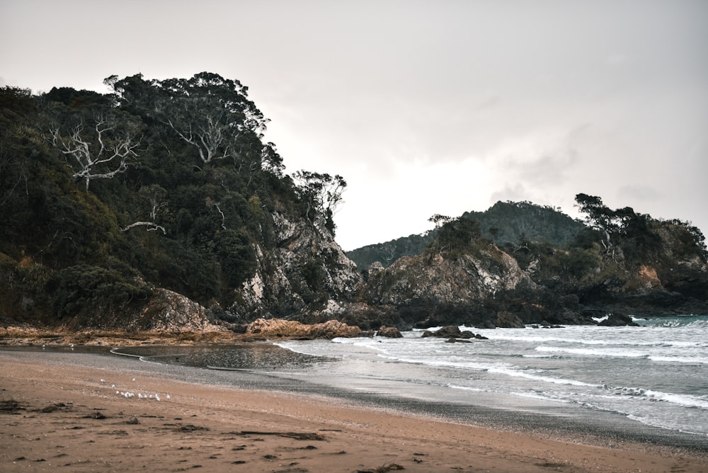 sea waves crashing on shore during daytime