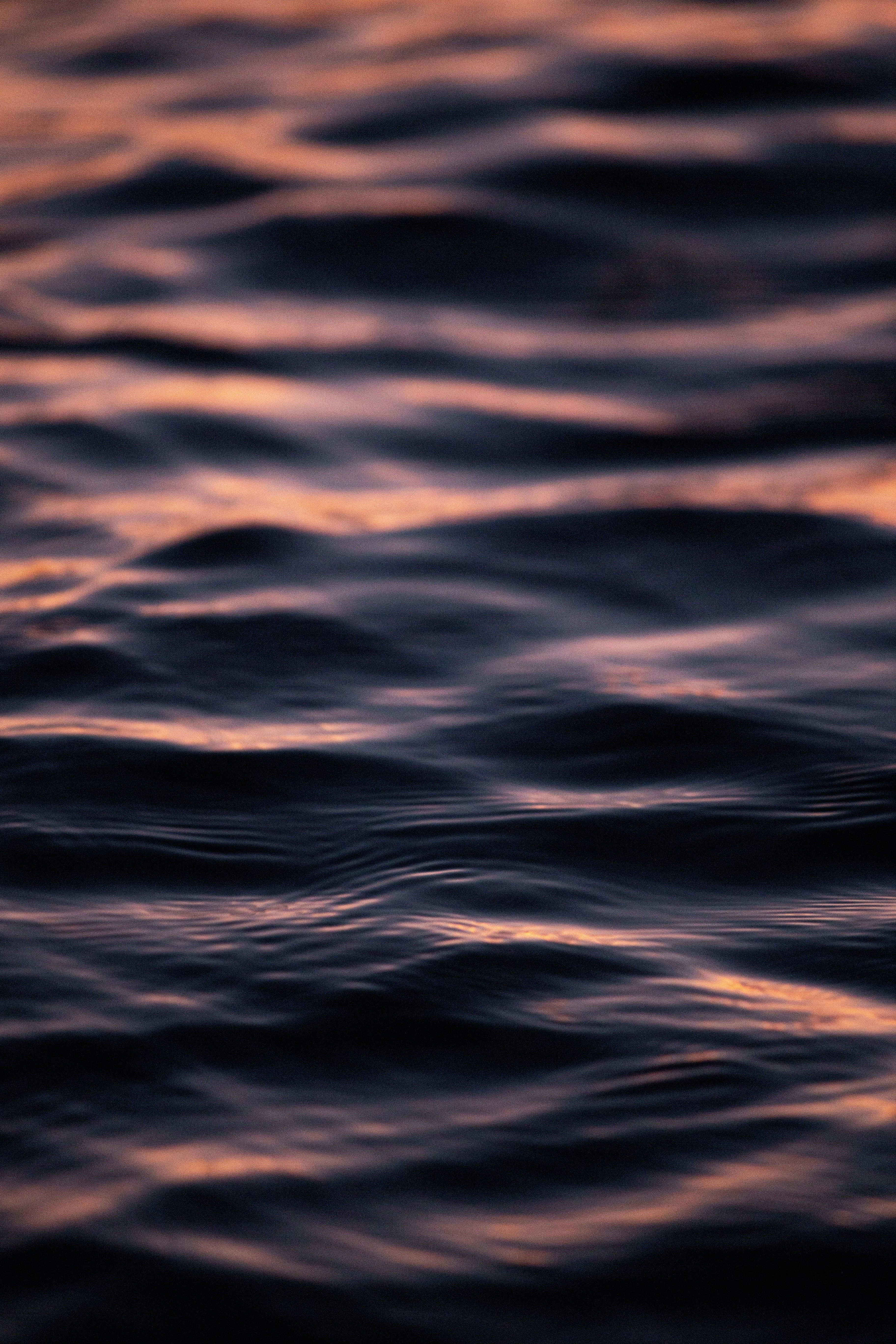 Photo by vinomamba24