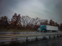 blue truck on road near bare trees during daytime