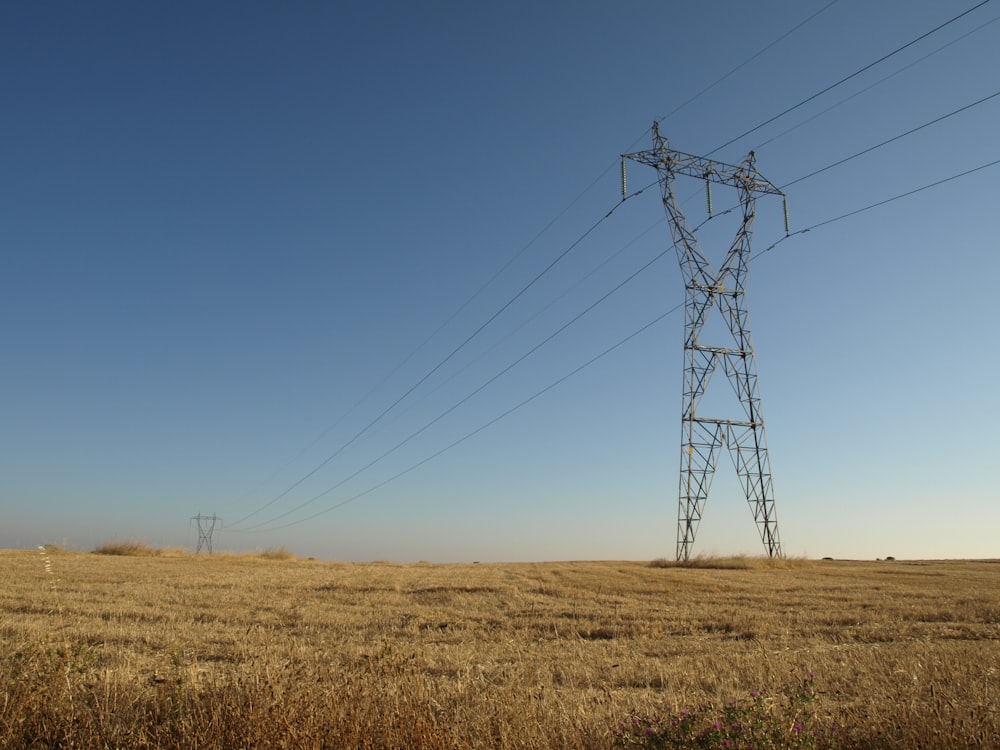 poteau électrique brun sur le champ d’herbe brune sous le ciel bleu pendant la journée