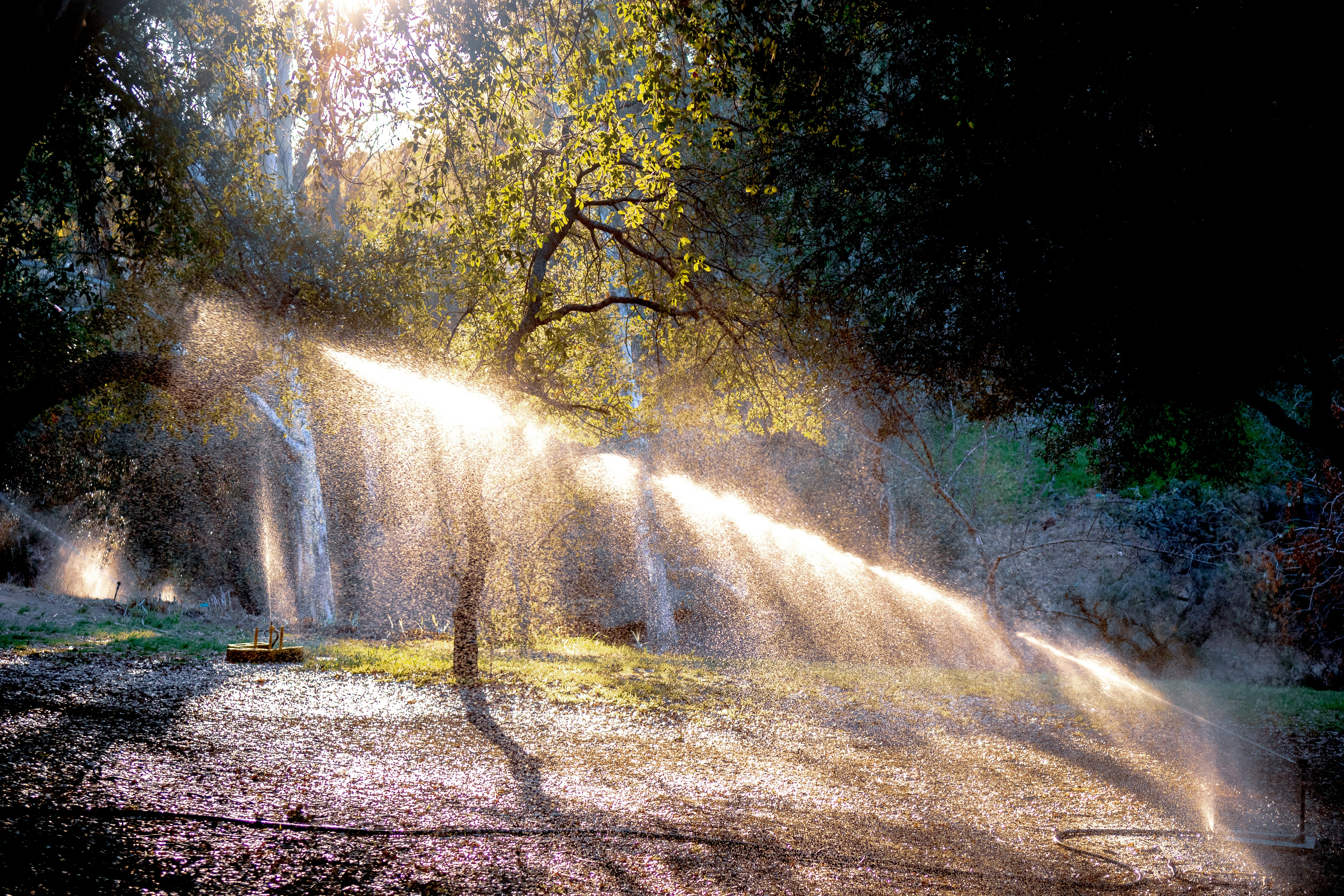 Photo by luisjlara343