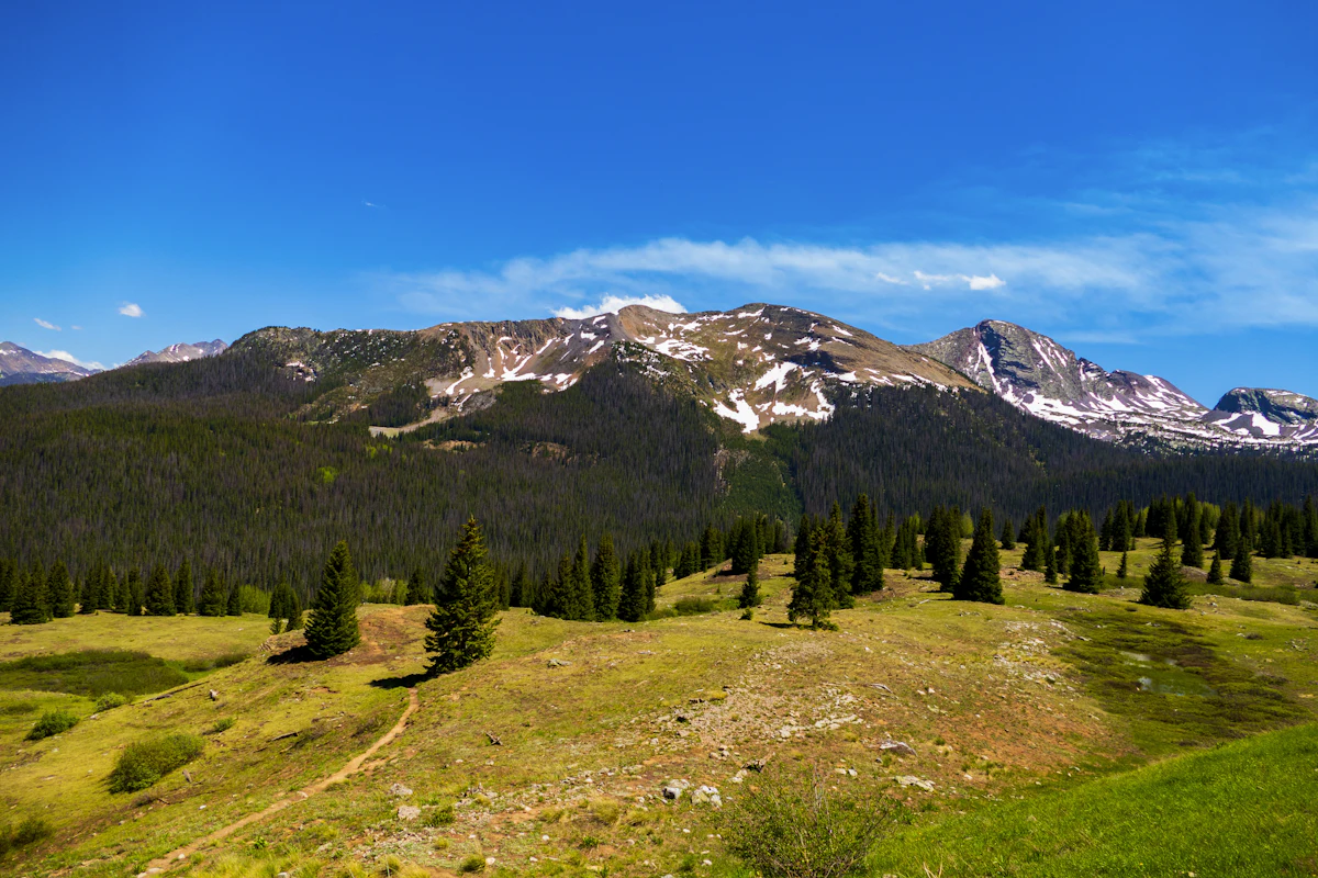 Snow-streaked peaks above a meadow and spruce forest near Silverton, Colorado