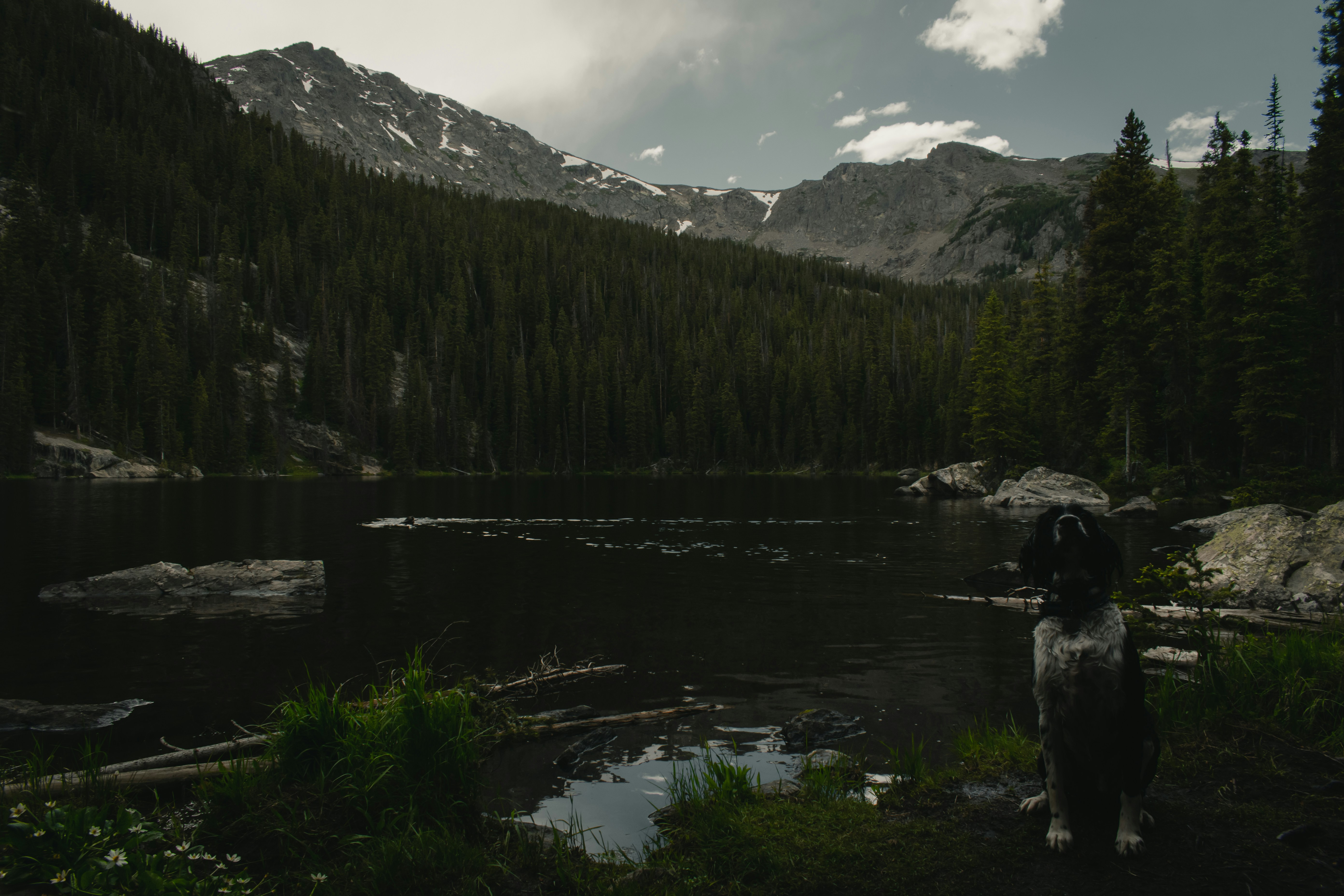 Photo by harrisonfitts