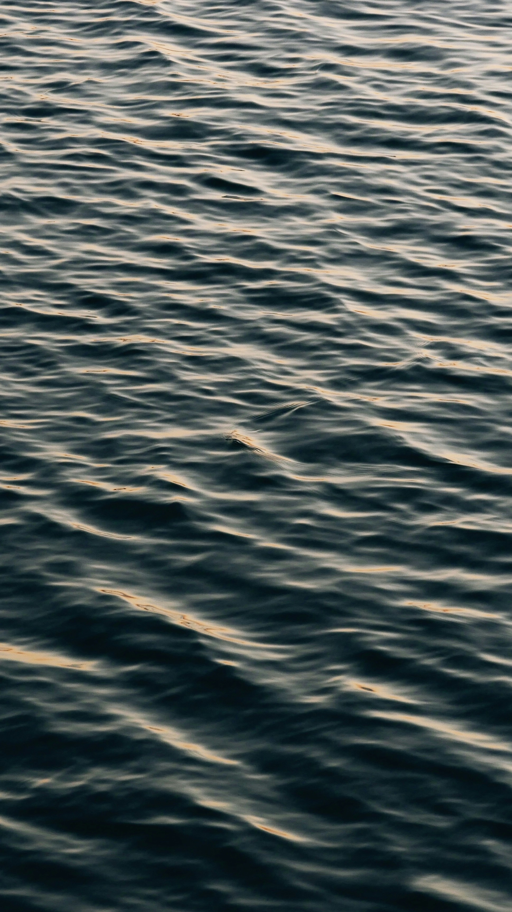 Photo by abirhiranandani