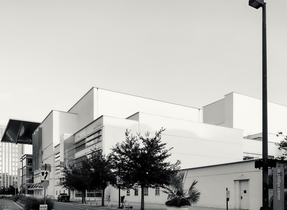 white concrete building near green tree during daytime