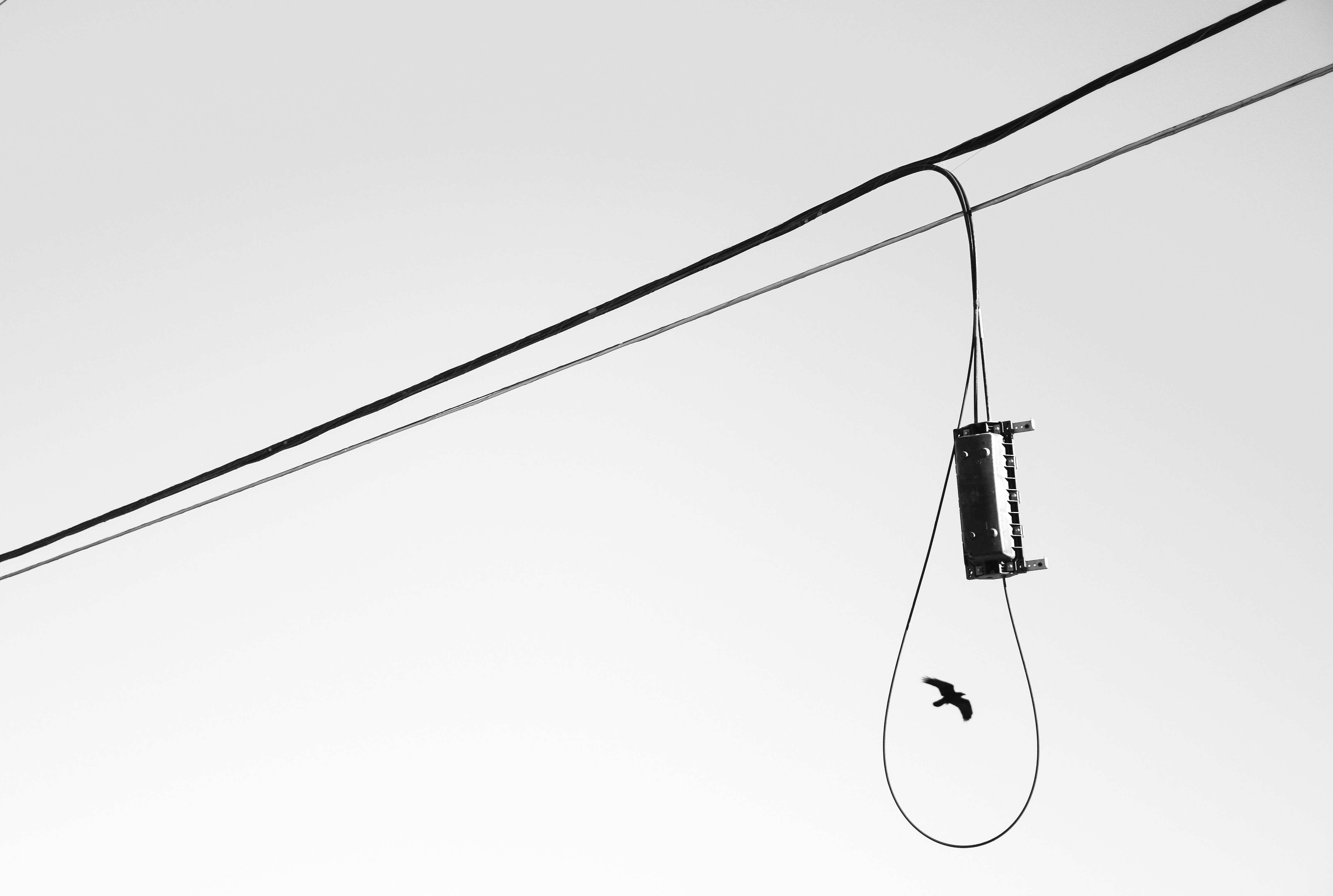 Photo by luisjlara343