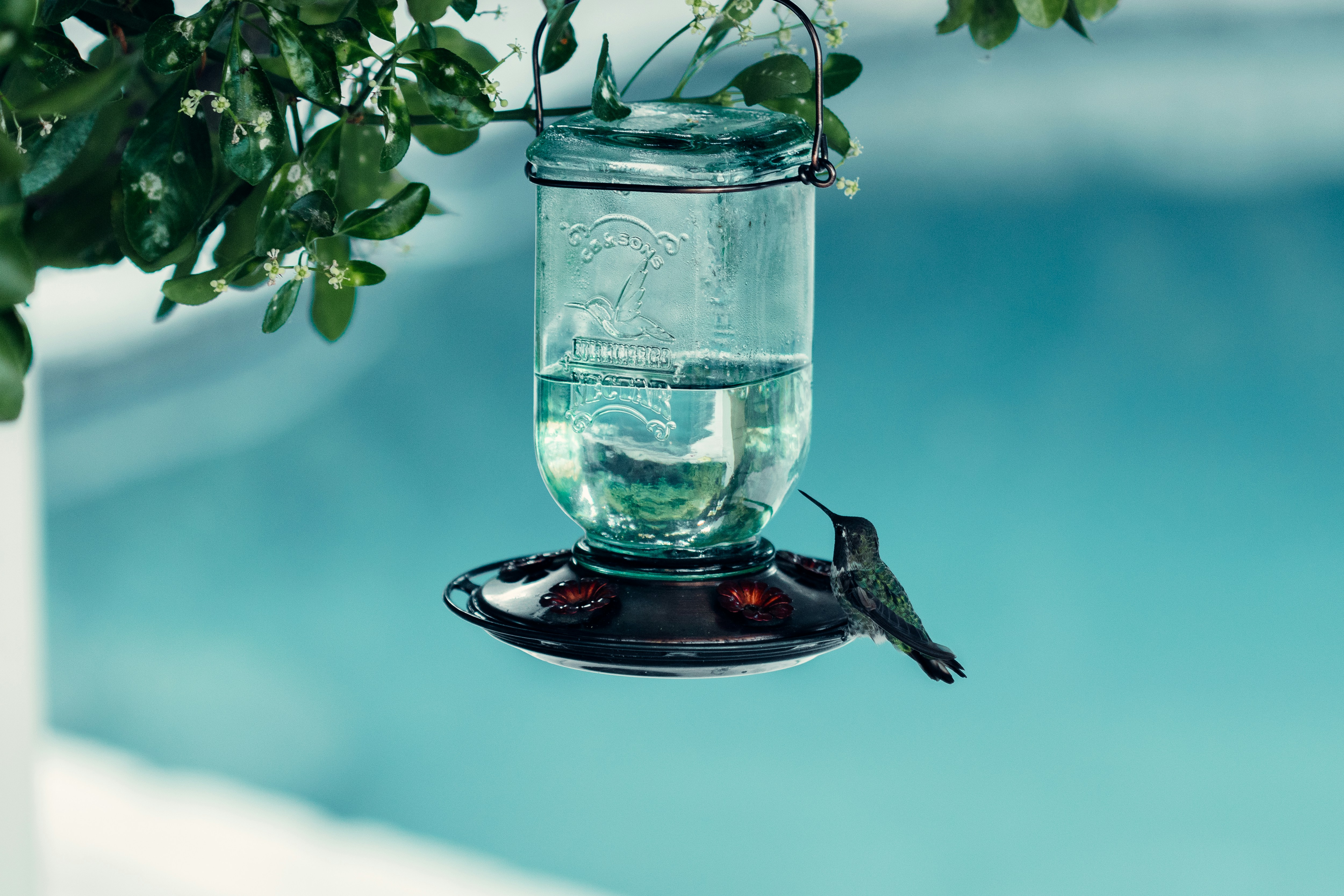 Mason Jar Tube Feeder