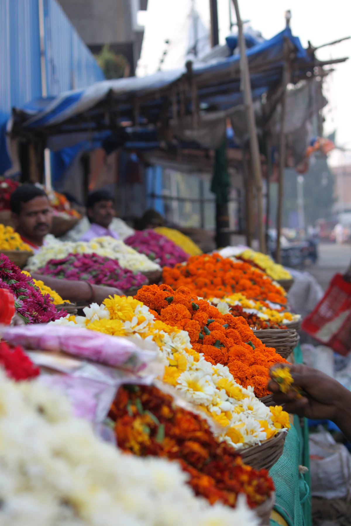 Malleshwaram Morning Walk