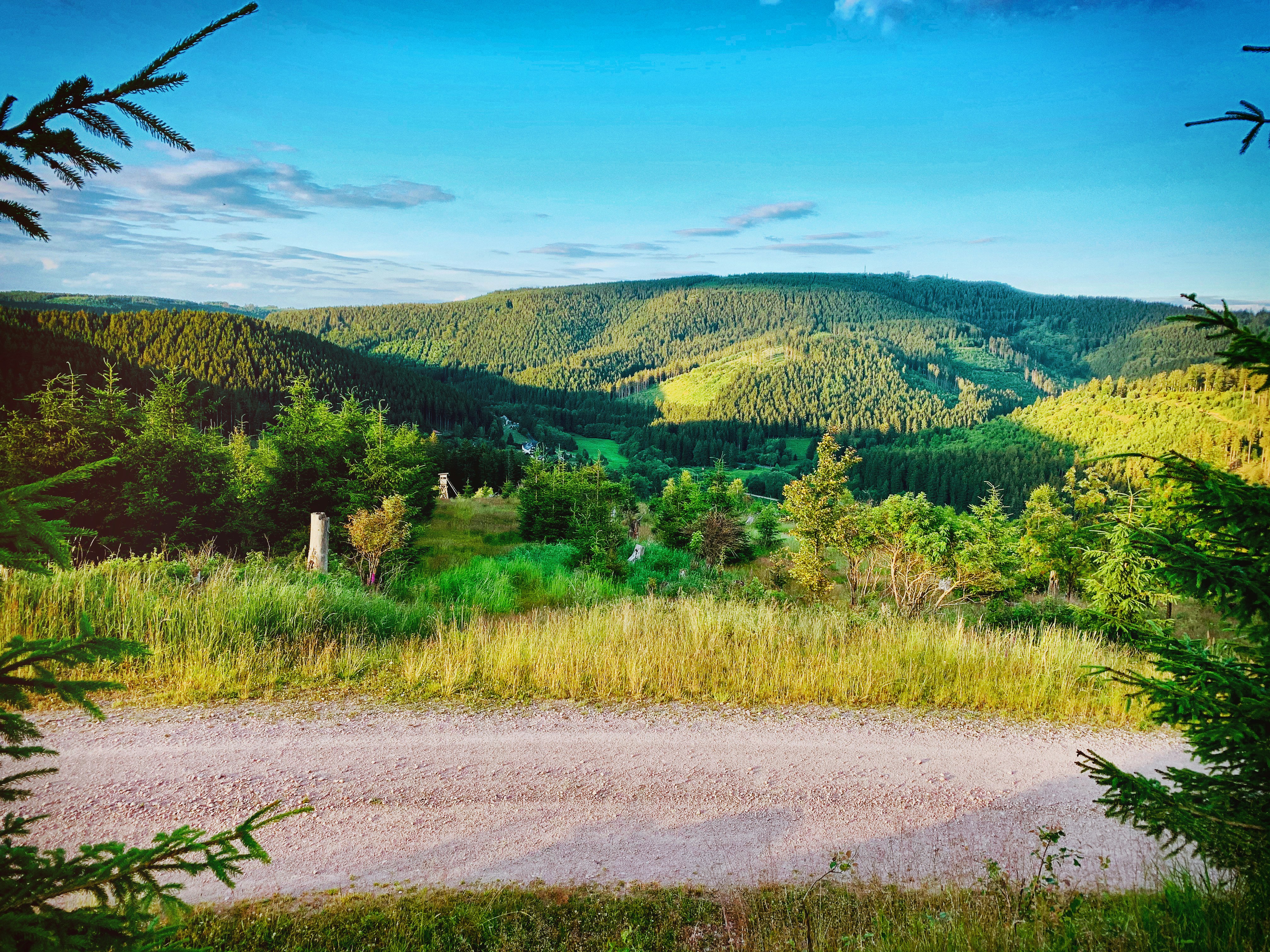 Photo by timotheus_froebel