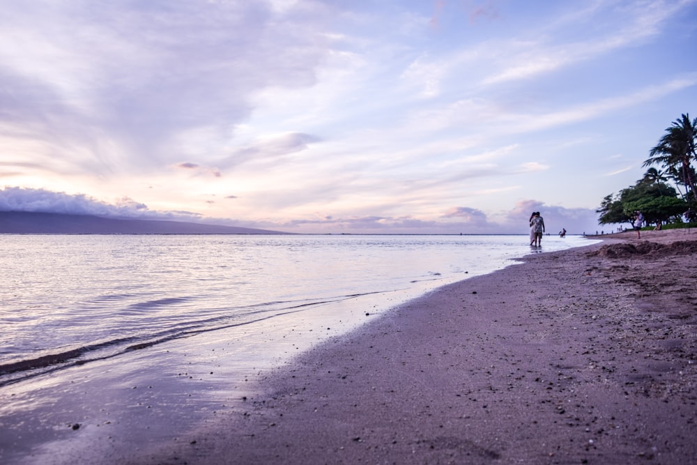 2 people walking on beach during daytime