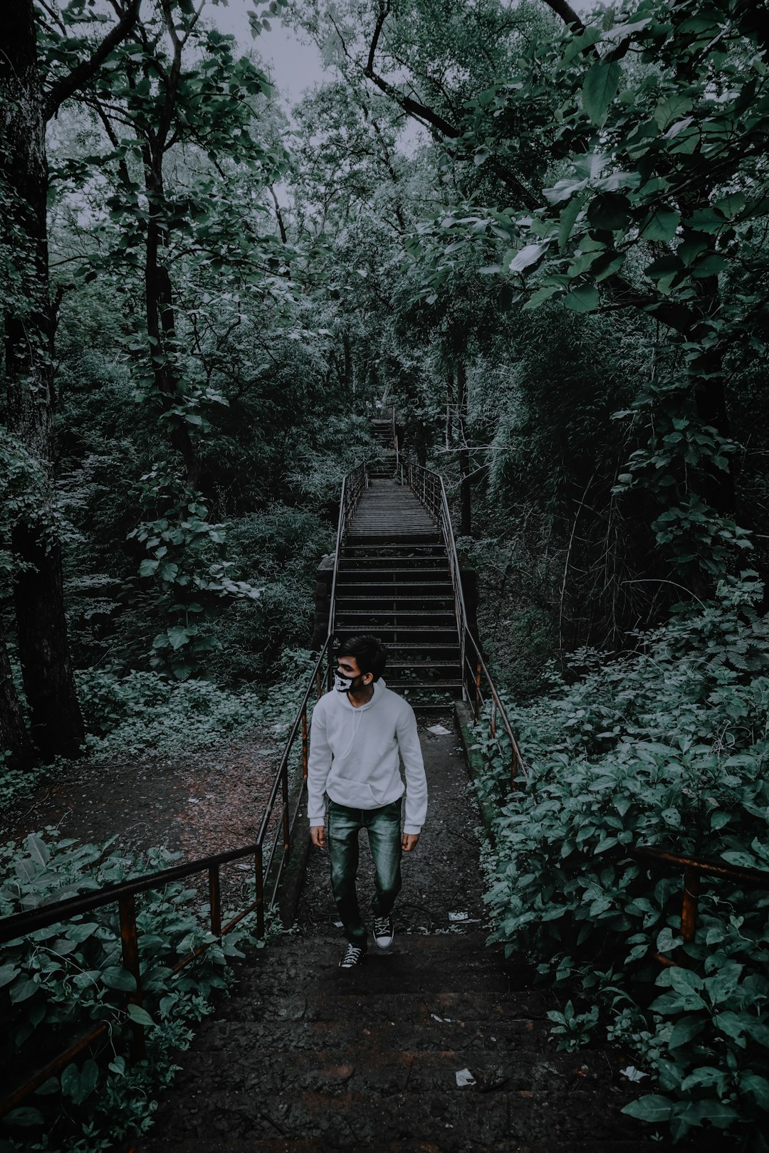 Forest photo spot Nagpur Maharashtra