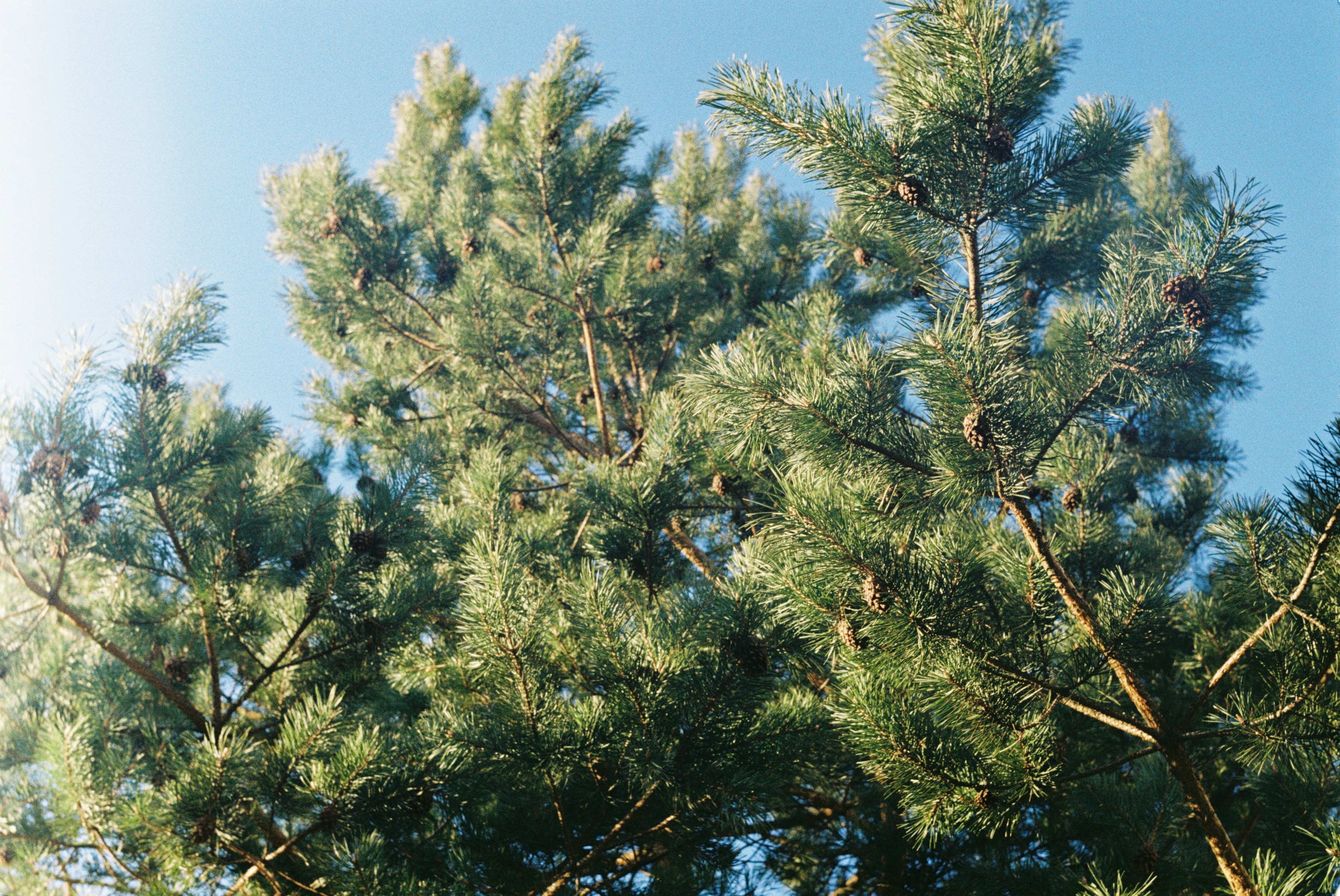 Photo by maslina_karina