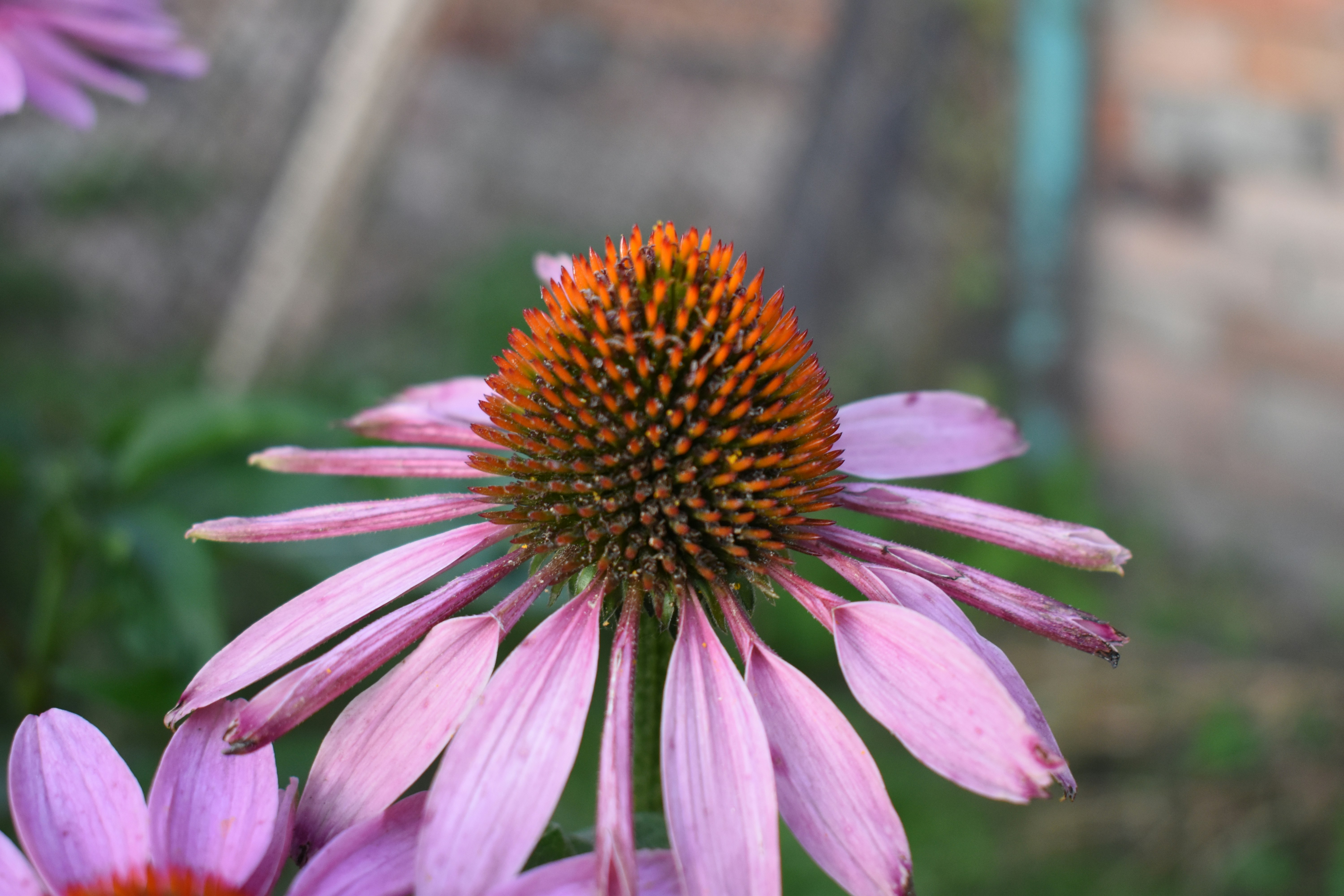 Photo by lala_photo_yk