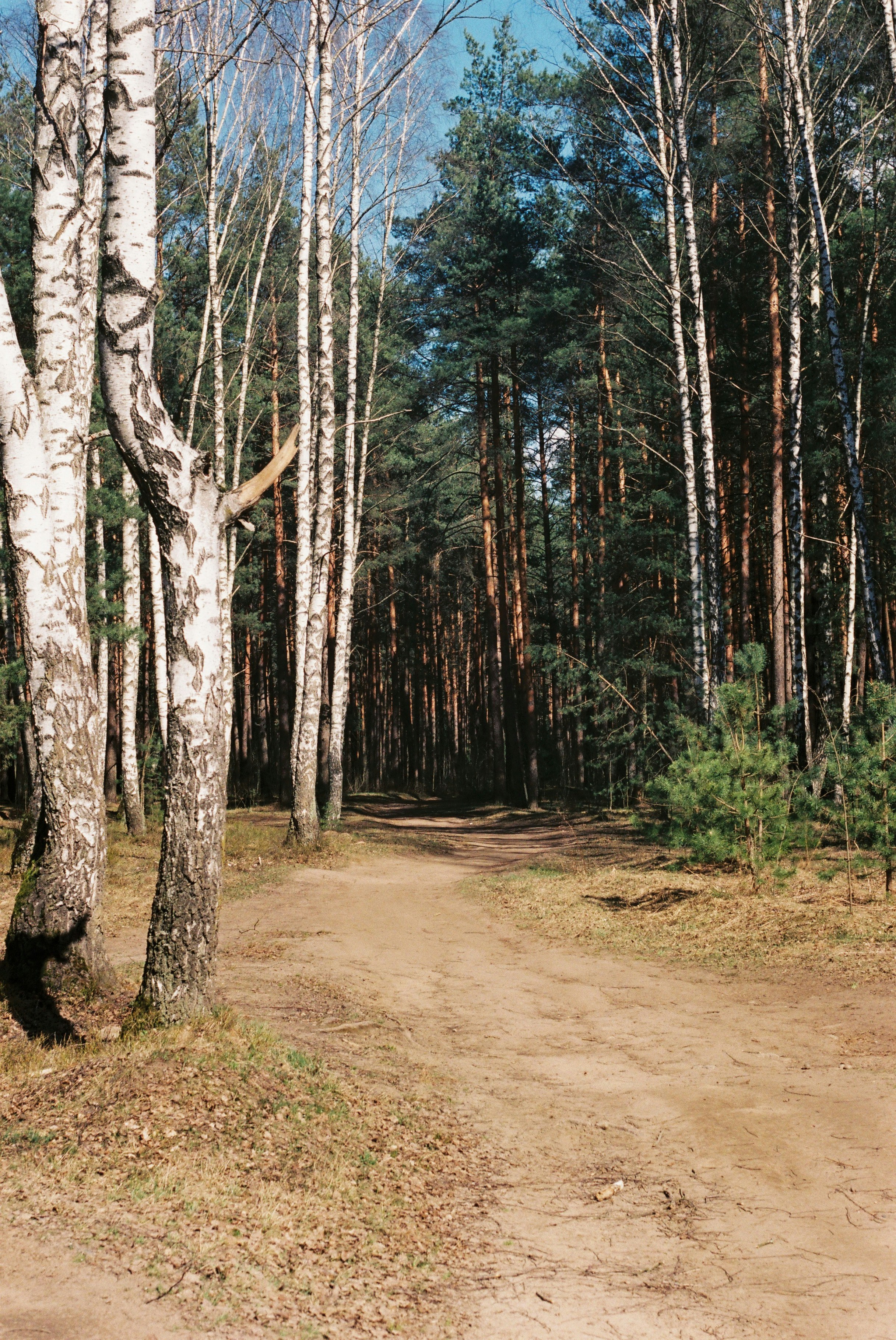 Photo by maslina_karina