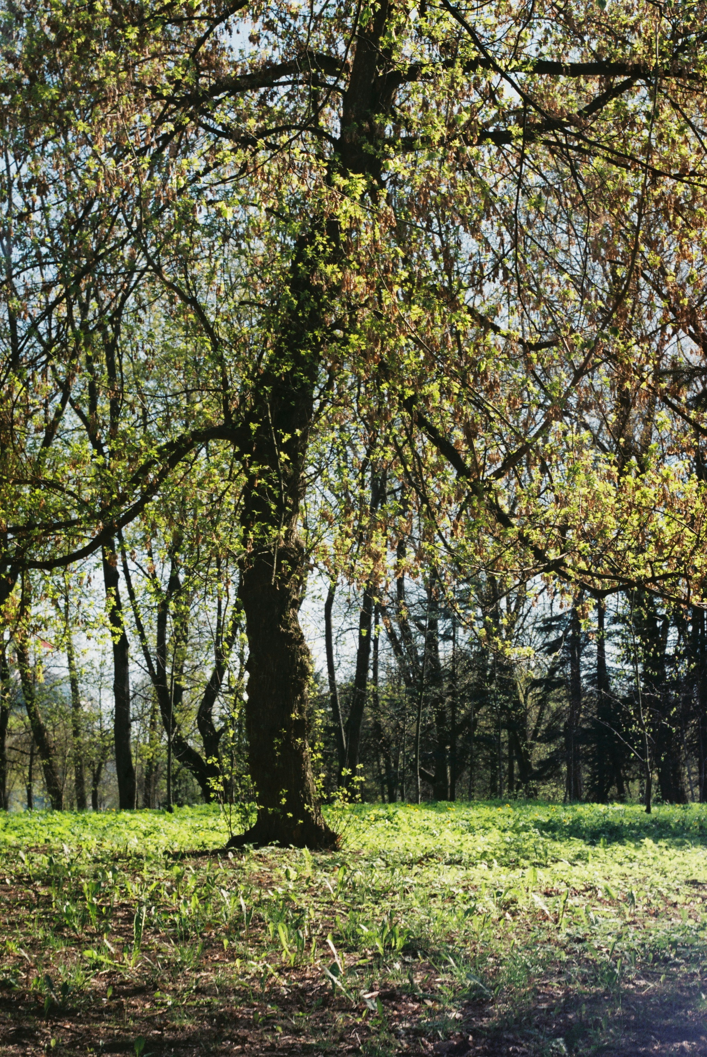 Photo by maslina_karina