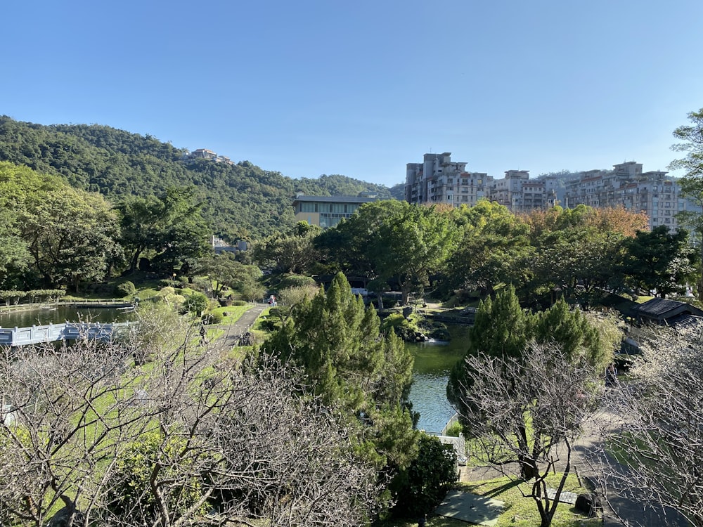 green trees near river during daytime