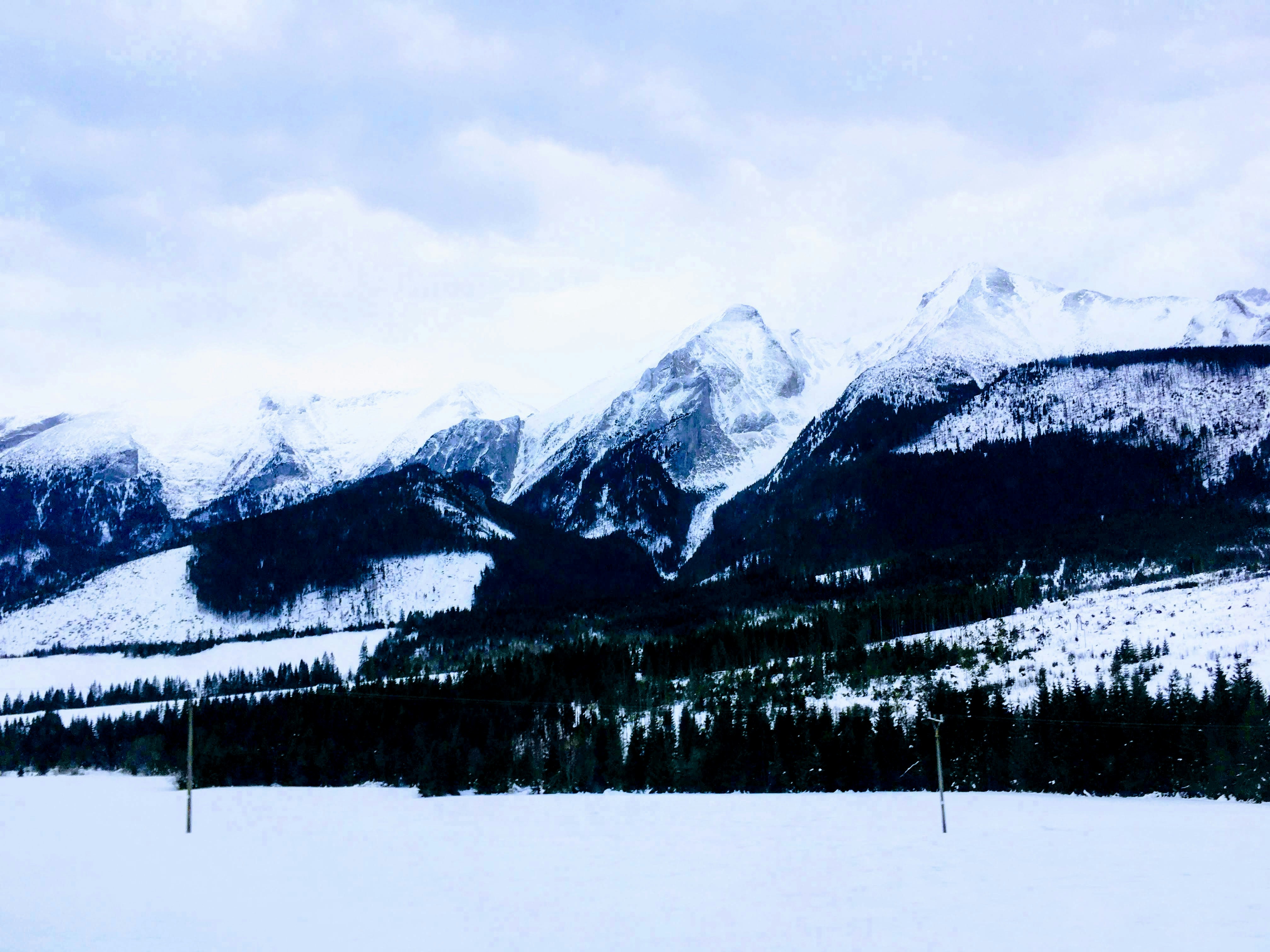 Photo by neuropeptidula