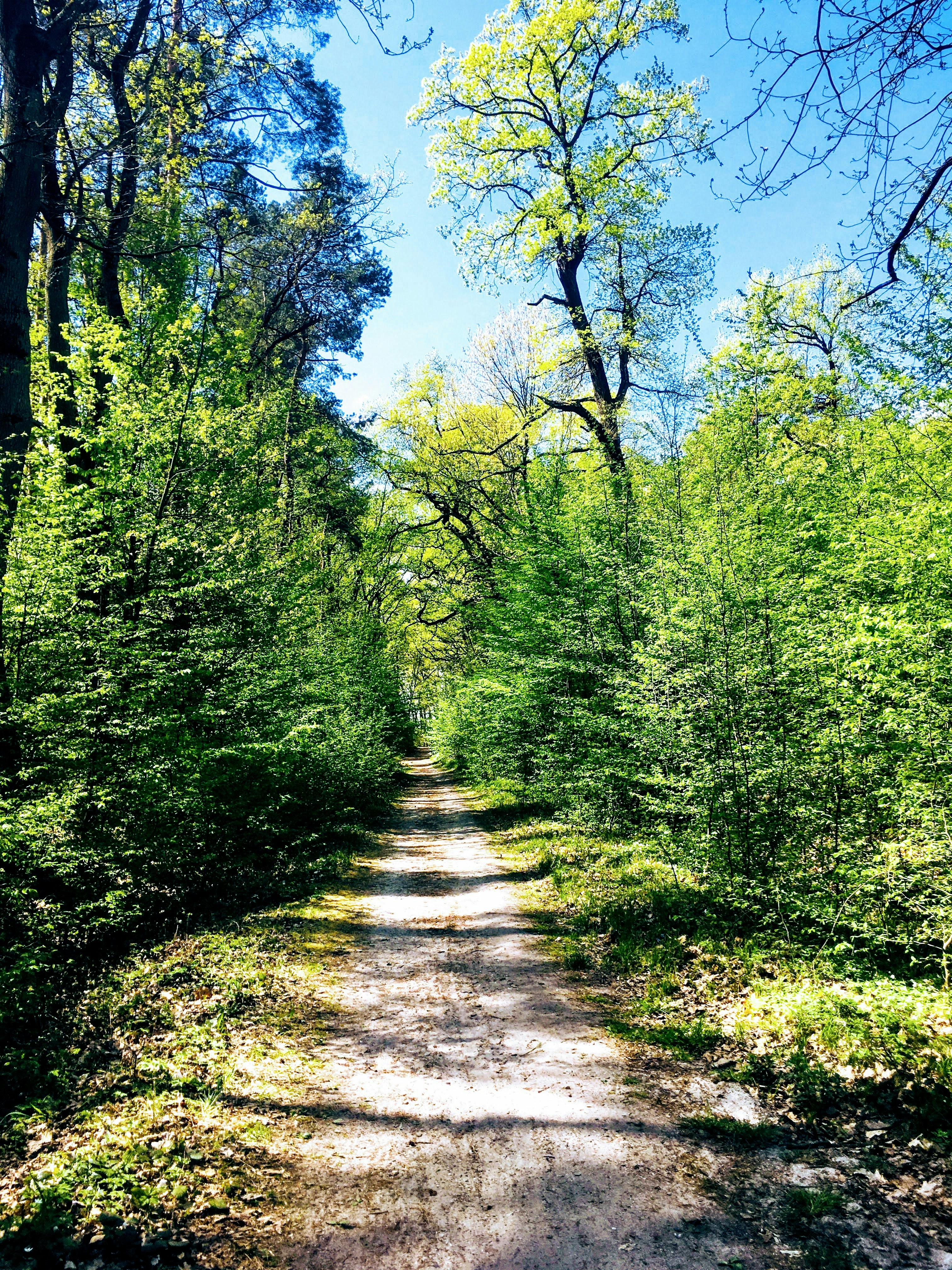 Photo by neuropeptidula