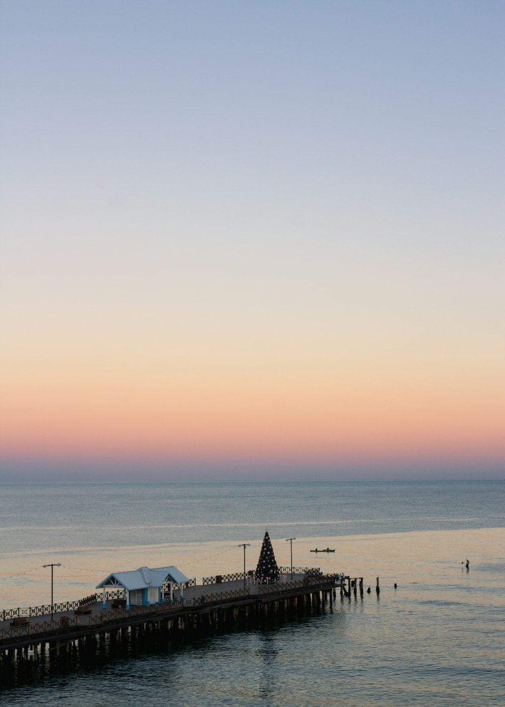 people on beach during sunset