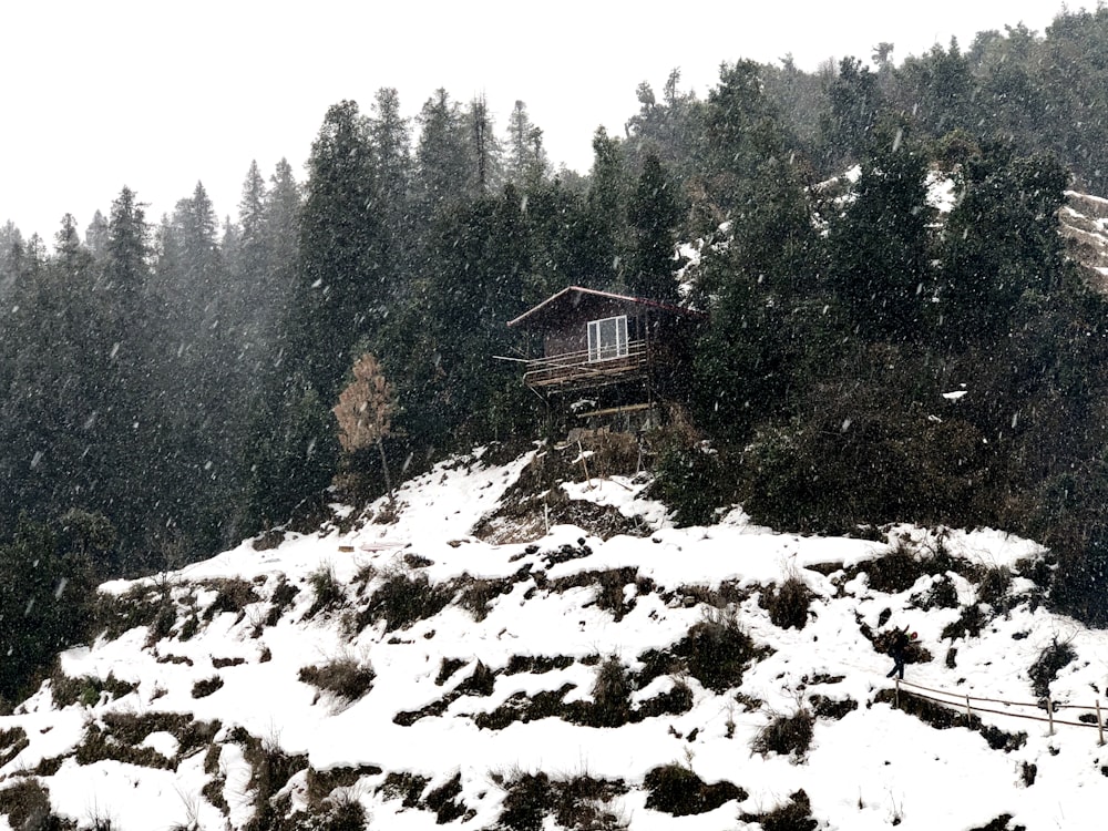 brown wooden house on snow covered ground