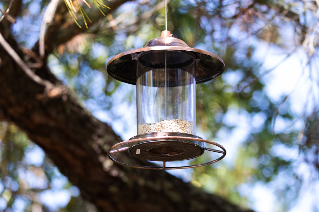 black and clear glass candle lantern