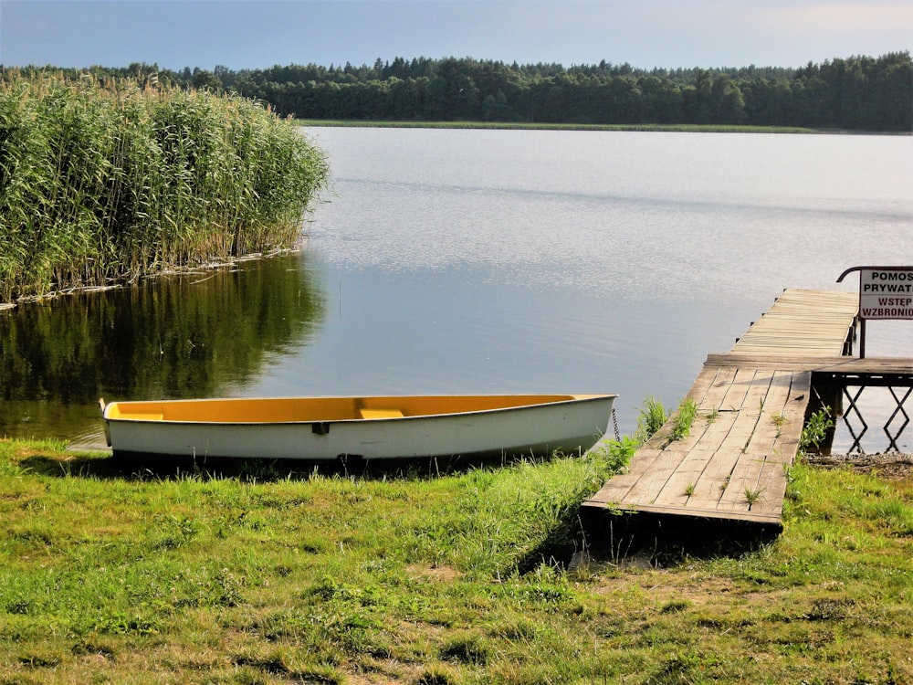 brown wooden boat on green grass near lake during daytime