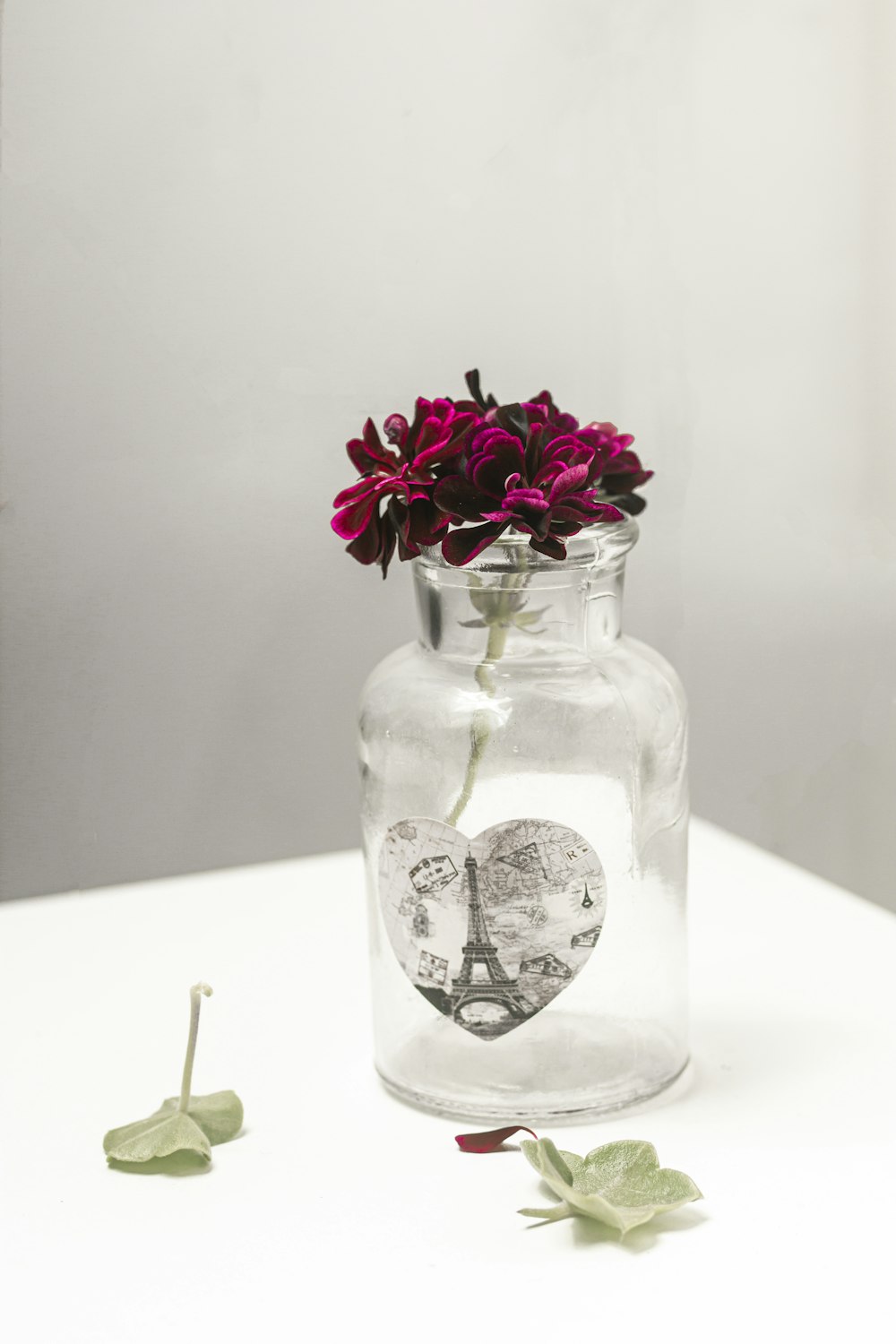 purple flower in clear glass jar