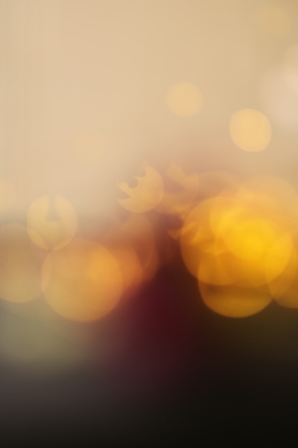 yellow and white bokeh lights