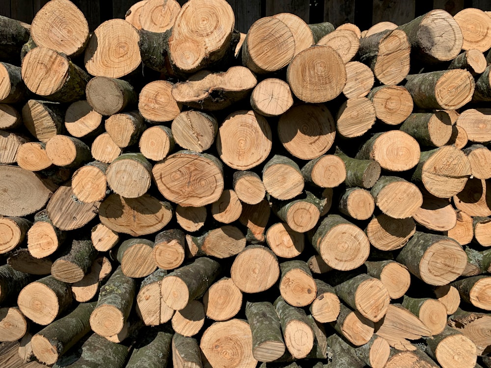 pile of brown wood logs