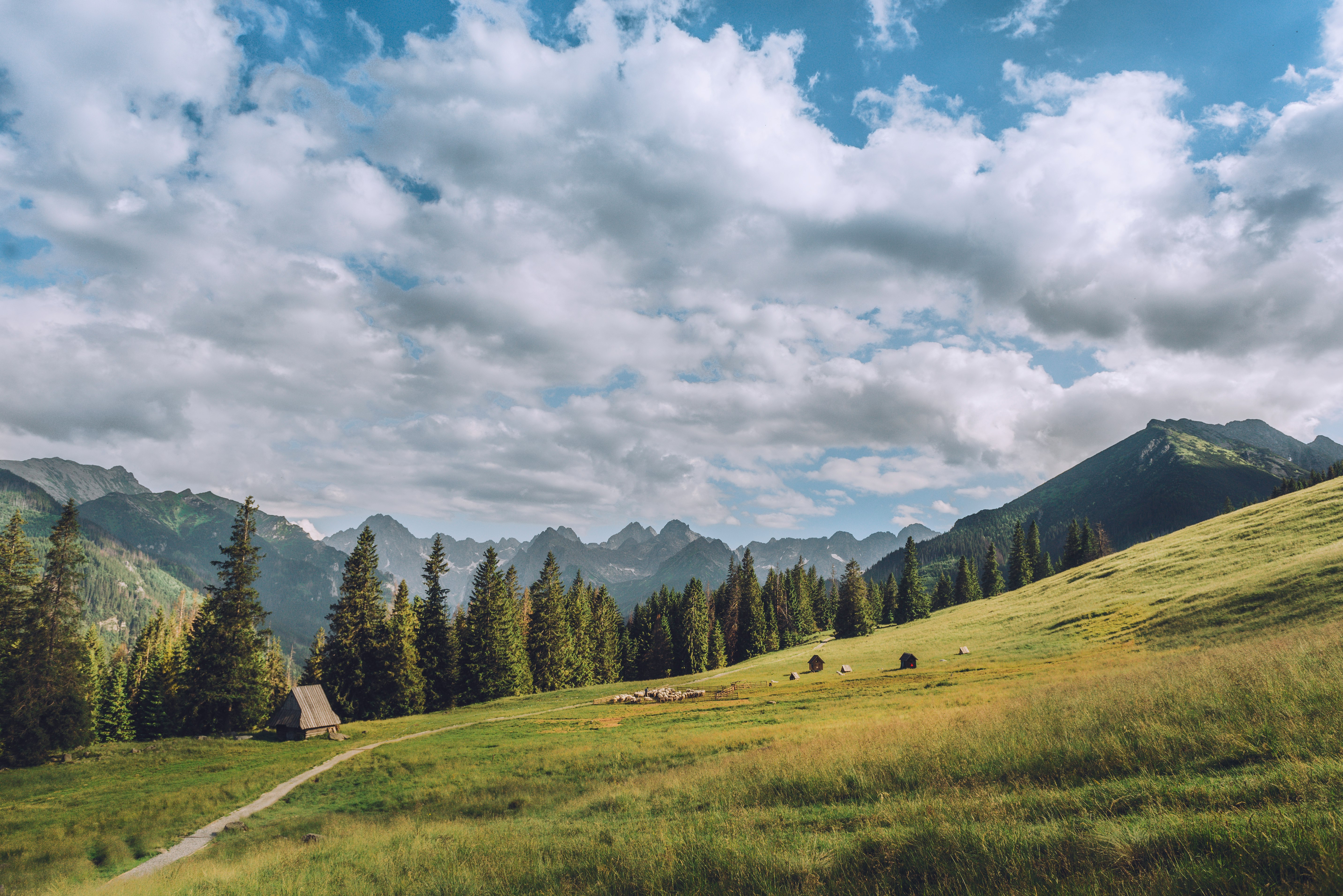 green grass field near green trees under white clouds and blue sky during daytime