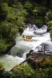 yellow and black boat on river during daytime